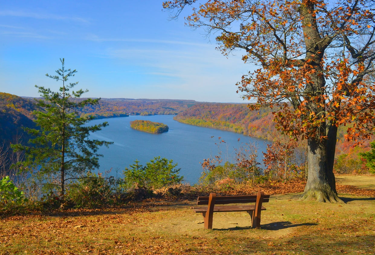 A wooden bench sits under a tree overlooking a winding river and forested hills with autumn foliage under a clear blue sky.