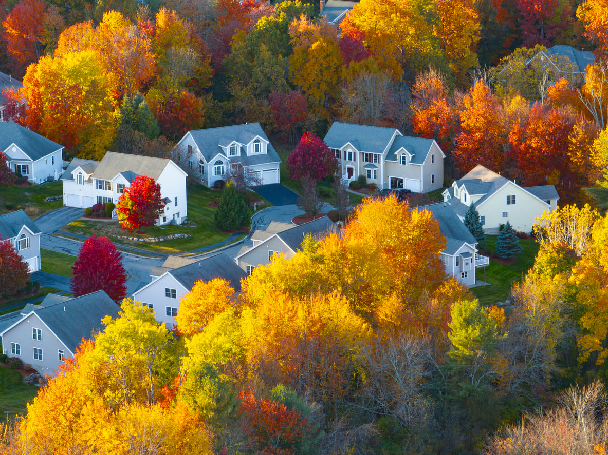 Aerial view of suburban houses surrounded by vibrant autumn trees in shades of yellow, orange, and red. A nearby Dollar Tree sits among the homes with lawns and driveways, creating a peaceful neighborhood scene.