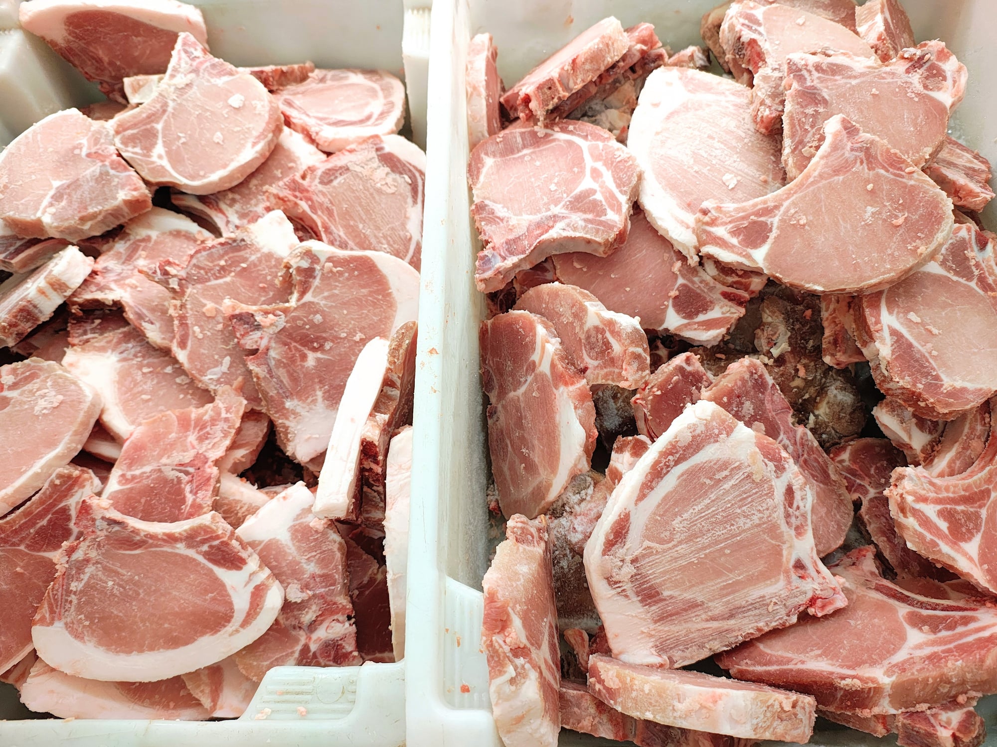 Two white bins filled with stacks of raw, uncooked pork chops. The meat appears fresh and pink, with bones visible in many of the pieces.