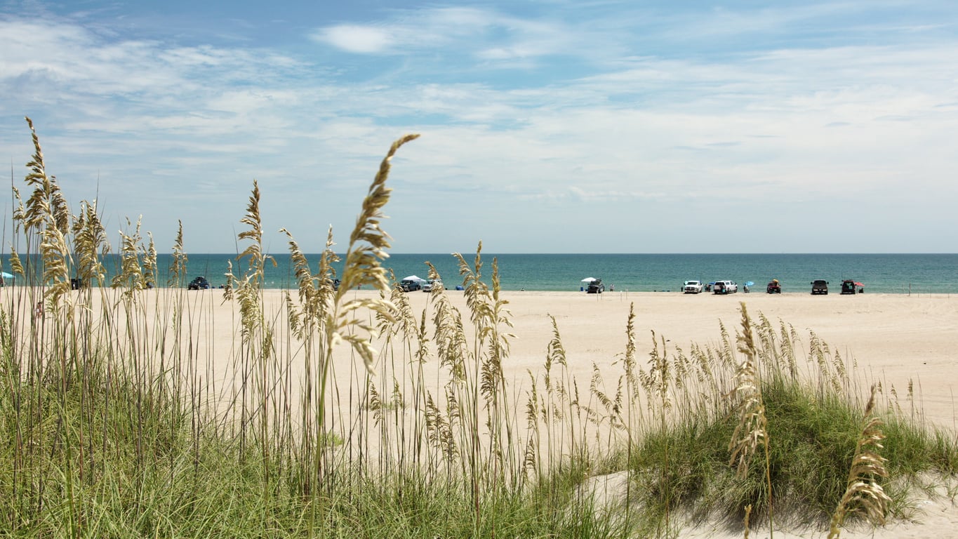 Tall beach grass in the foreground with a sandy beach, scattered cars, and people under umbrellas by the shoreline. The ocean and blue sky with clouds stretch out in the background.