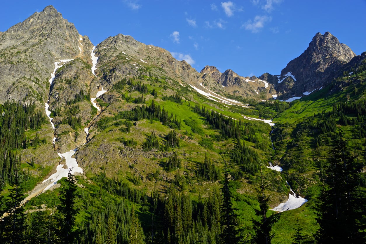 Rocky mountain peaks with patches of snow and green slopes, scattered with evergreen trees under a clear blue sky.