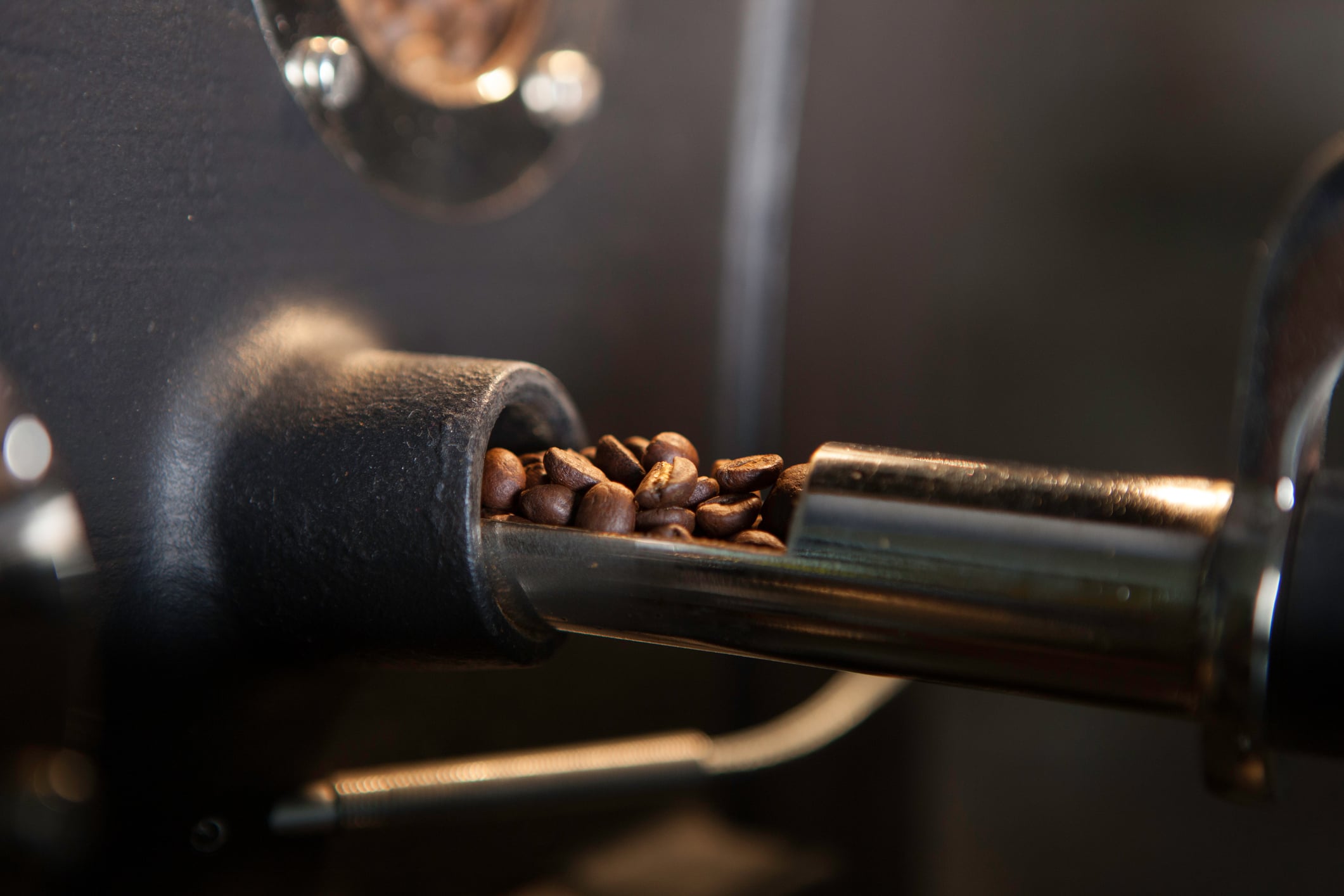 Close-up of roasted coffee beans being poured out of a metal chute or scoop from a coffee roasting machine, with a dark and blurred background.