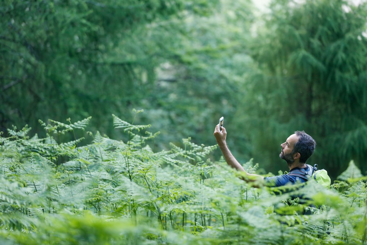 A man stands in lush green ferns in a forest, smiling and holding up his smartphone. With a backpack on, he enjoys nature and captures the moment—embracing one of many budget-friendly hobbies surrounded by tall trees.