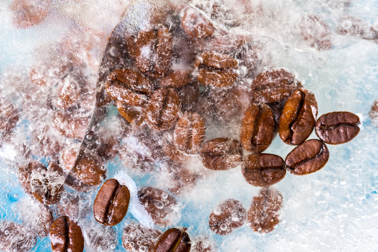 Coffee beans frozen in a block of ice, with some beans partially embedded and others more visible against the clear, frosty surface.