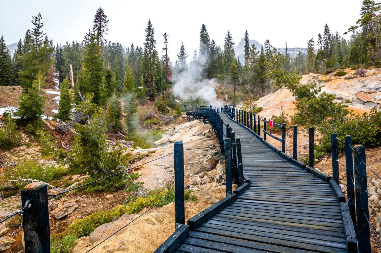 A wooden boardwalk winds through a forested area with conifer trees, rocky terrain, and visible steam rising from geothermal vents under an overcast sky.
