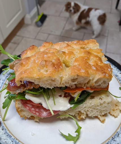 A close-up of a focaccia sandwich with salami, mozzarella, arugula, and tomato on a plate, with a small brown and white dog looking up in the background on a tiled kitchen floor.