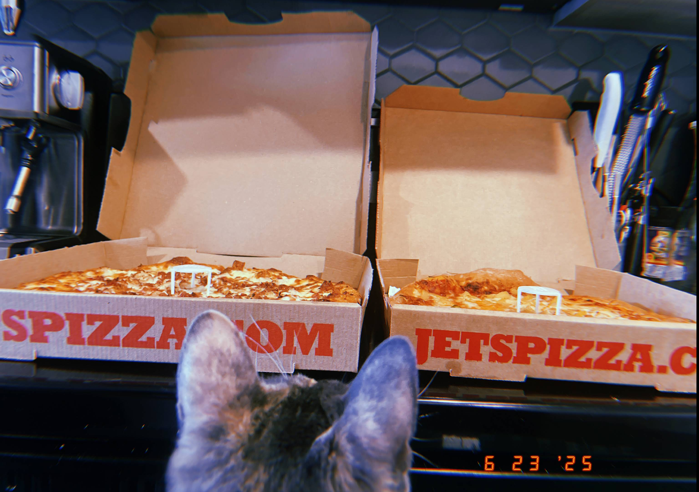A cat's head in the foreground faces two open pizza boxes from one of the top pizza chains, with rectangular pizzas on a kitchen counter. The boxes display "JETSPIZZA.COM" and the scene has a timestamp reading "6 23 '25.