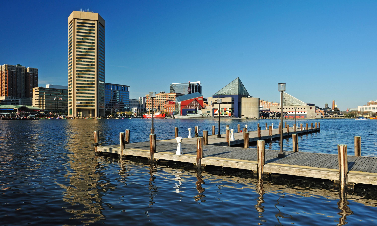 A wooden dock stretches into calm water with city buildings, including a tall tower and a glass pyramid, in the background under a clear blue sky—offering a peaceful escape from worries like credit card debt.