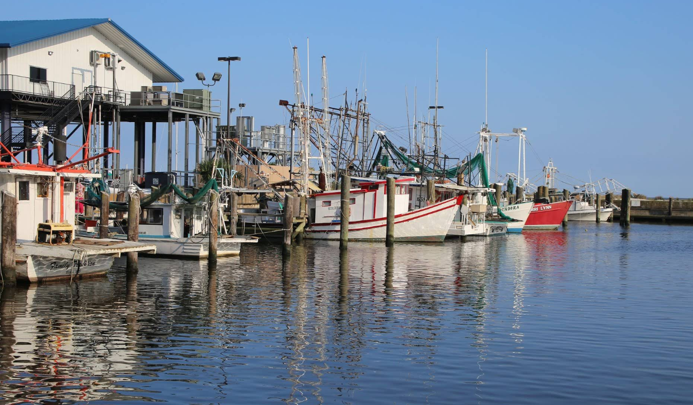 Several colorful fishing boats docked at a marina beside a building, with calm water reflecting the boats and clear blue sky in the background—classic scenery found in charming beach towns.