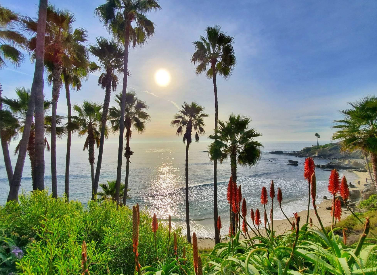 Palm trees frame a sunny beach scene with the ocean reflecting sunlight. Red flowering plants are in the foreground, and people can be seen on the sandy shore—a classic view found in charming beach towns under a clear blue sky.