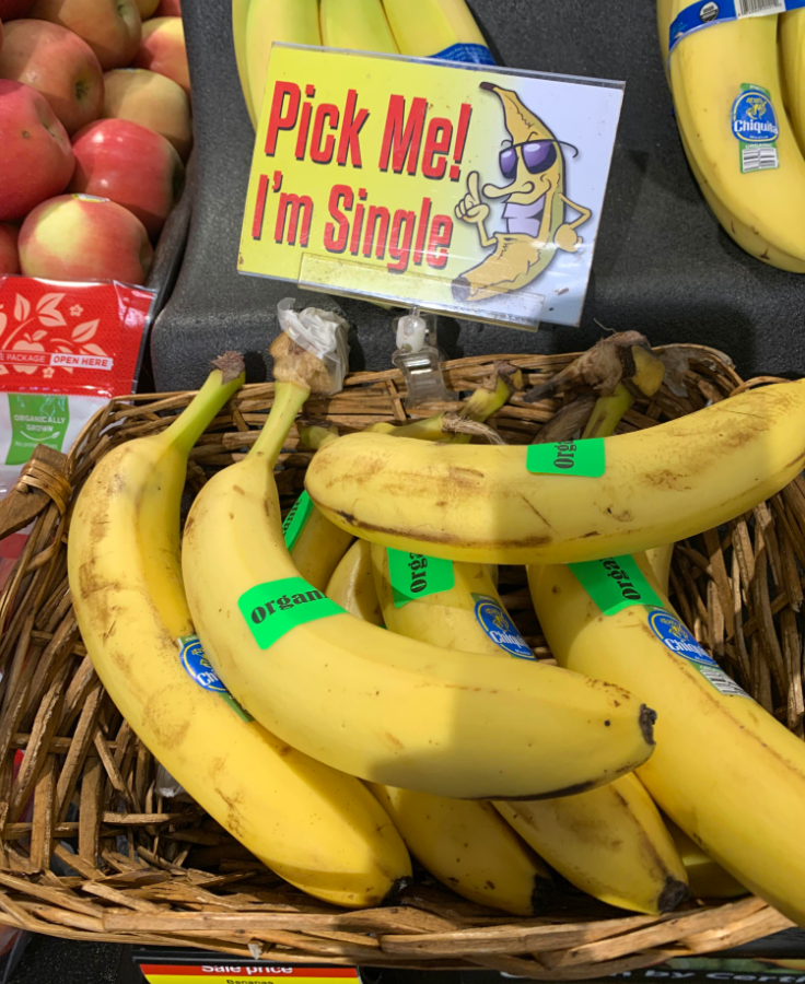 A basket of single bananas labeled "Organic" sits among other grocery items, with a sign featuring a cartoon banana and the playful message: "Pick Me! I'm Single." Apples are visible to the side.