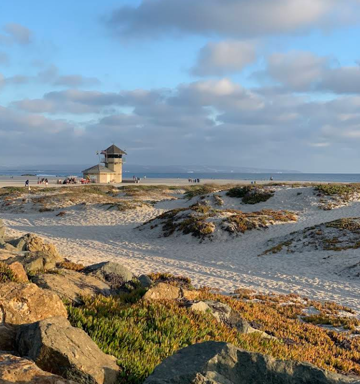 A sandy beach with sparse vegetation and large rocks in the foreground. Ideal for beach destinations, a lifeguard tower stands near the shoreline under a partly cloudy sky, with the ocean in the background.