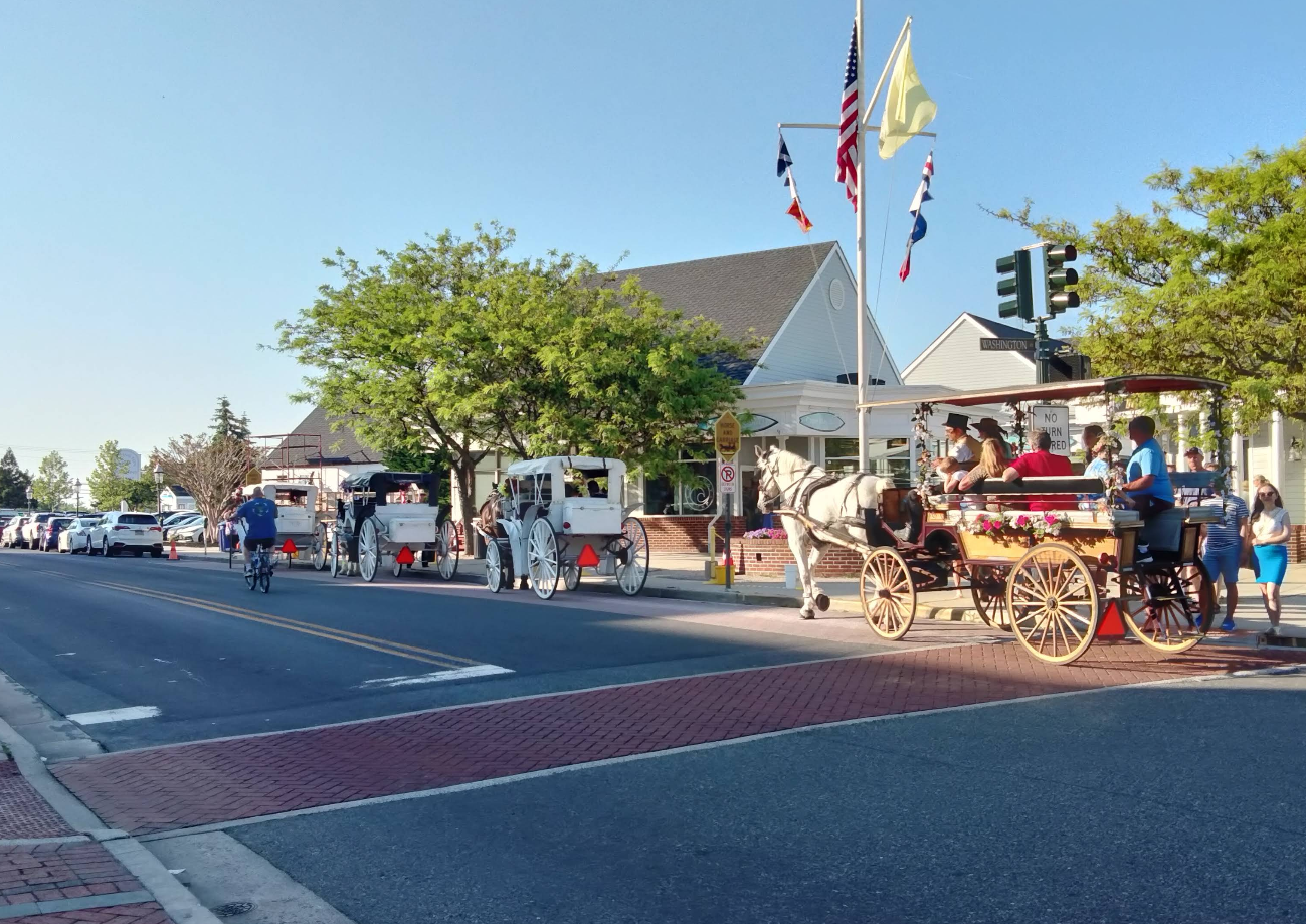 Horse-drawn carriages with passengers travel down a sunny street in one of the charming tourist towns, lined with trees and buildings. People walk, a cyclist rides nearby, several flags are displayed, and cars are parked along the road.