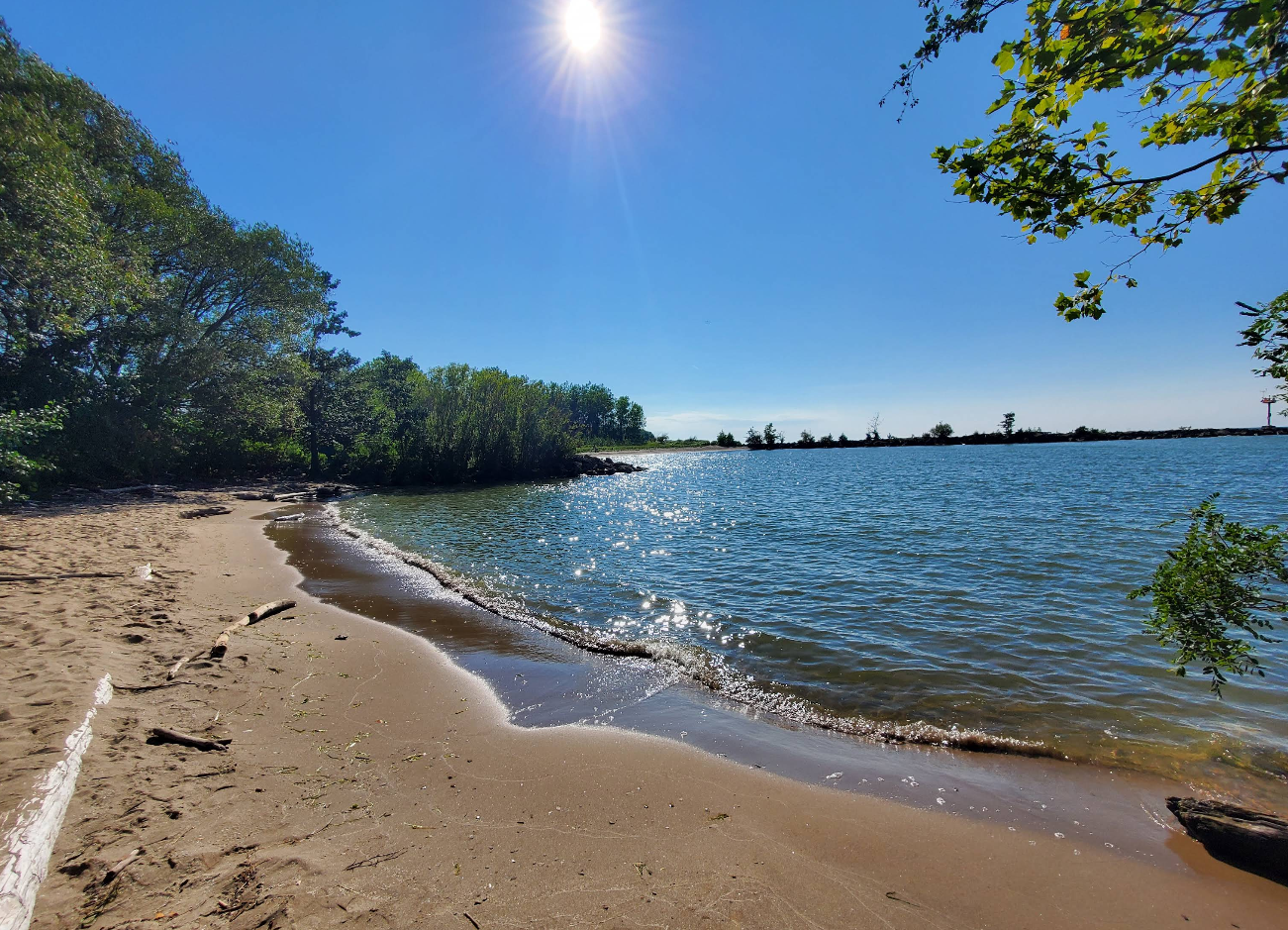 A sunny day at a peaceful lakeshore evokes the charm of lake towns, with clear blue sky, gentle waves, sandy beach, and green trees lining the water’s edge. Sunlight dances on the water while branches hang over the tranquil scene.