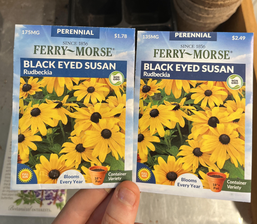 Two Ferry-Morse seed packets for Black Eyed Susan flowers are held side by side, showing yellow flowers with dark centers. One packet is labeled 175mg, the other 135mg, with slightly different prices and weights.