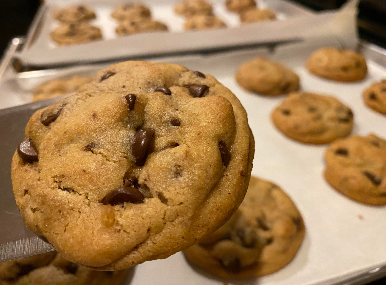 A close-up of a freshly baked chocolate chip cookie on a spatula, with more cookies cooling on a parchment-lined baking sheet in the background—a classic treat often enjoyed by middle class moms and their families.