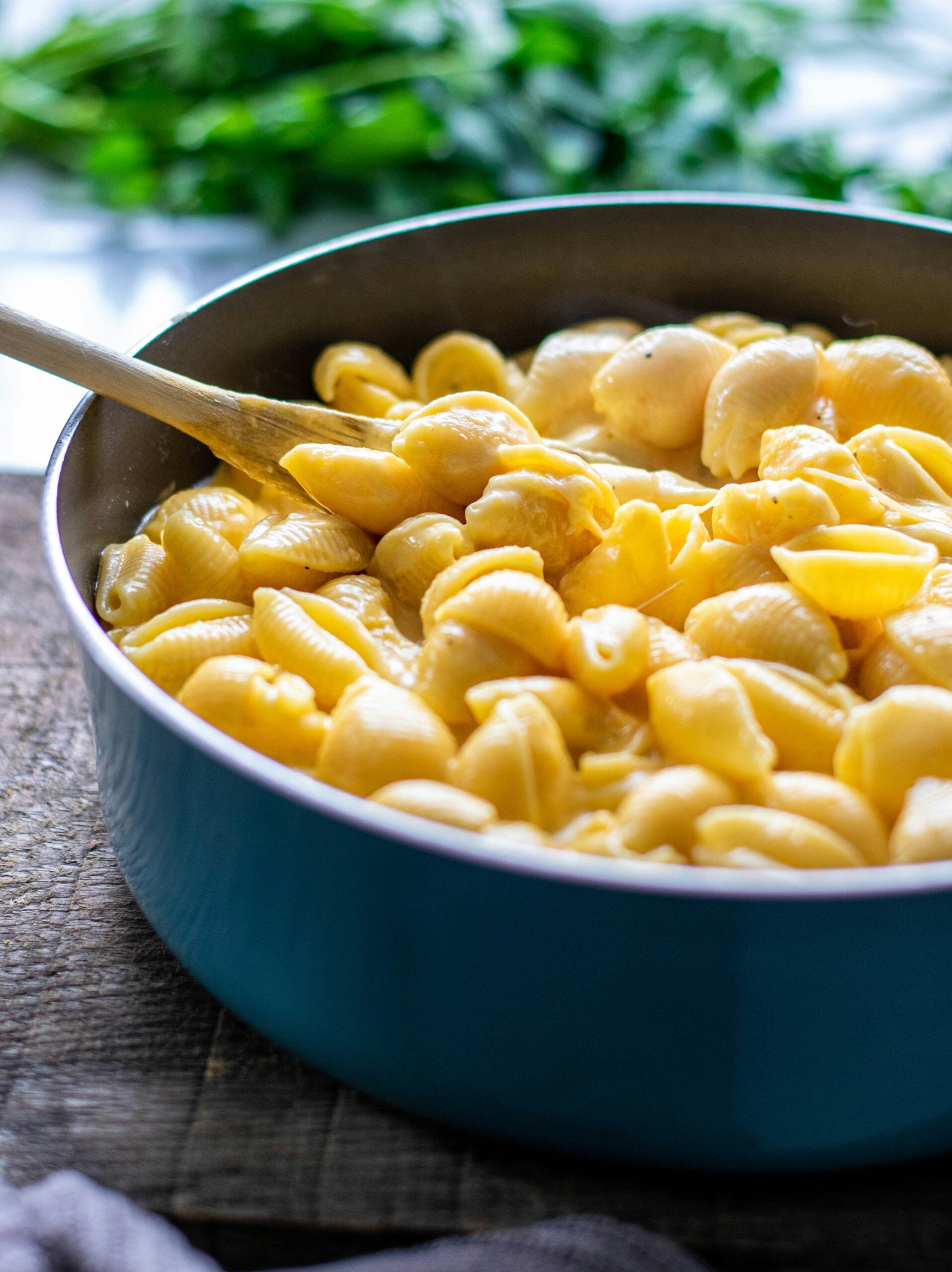 A blue pot filled with creamy macaroni and cheese made with shell pasta. A wooden spoon is resting in the pot, and fresh herbs are blurred in the background.