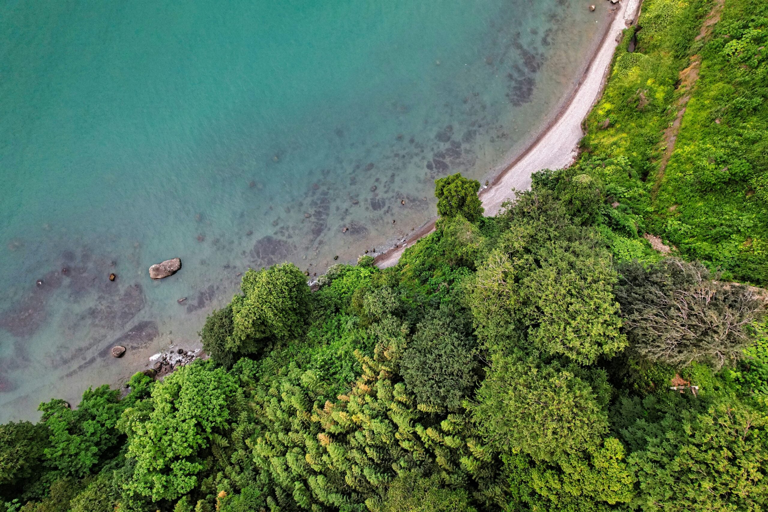 Aerial view of a lush green forest bordering a narrow, rocky shoreline with clear turquoise water. The beach curves along the coast, with scattered rocks visible in the shallow water near the shore.