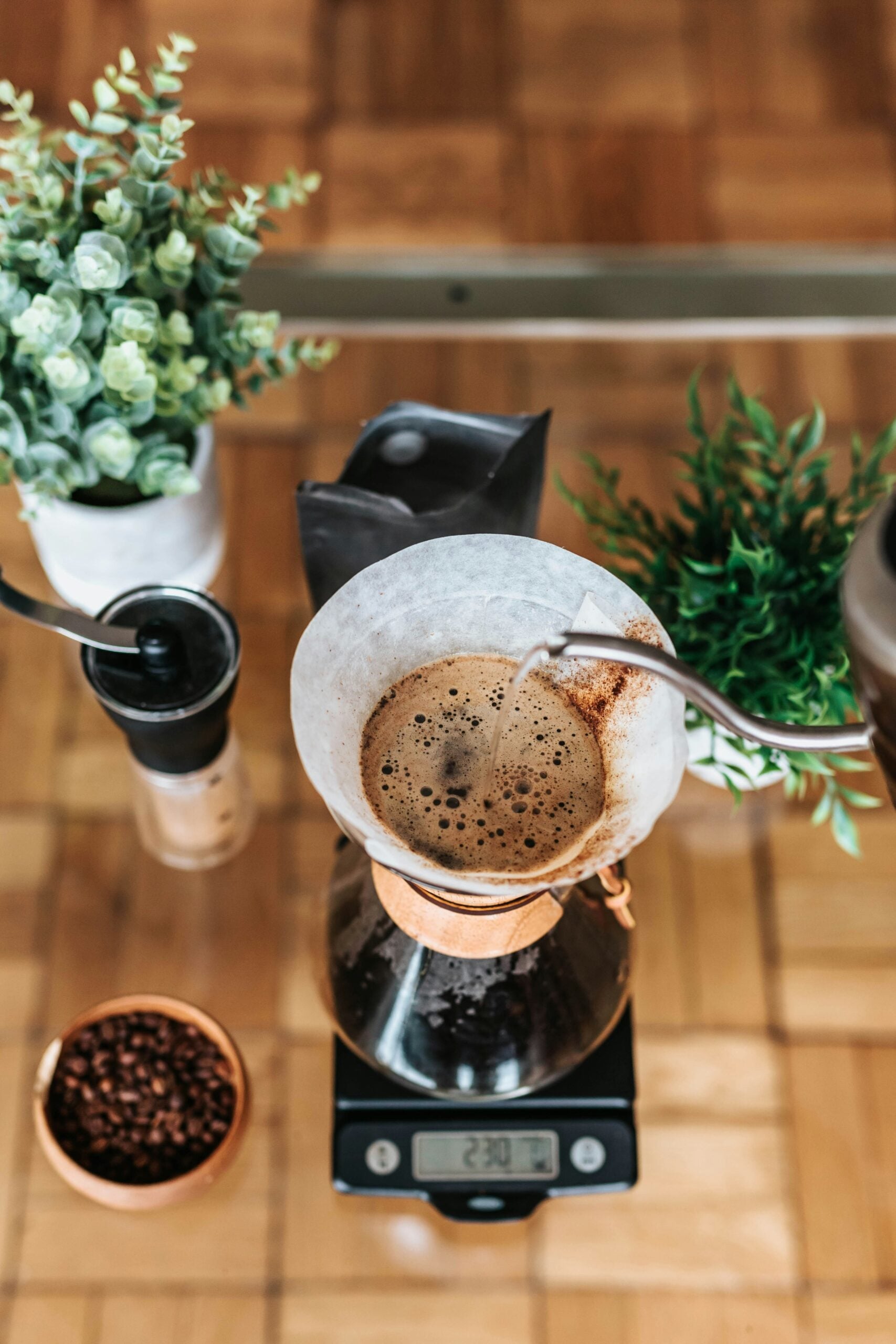 A top-down view of coffee being brewed in a Chemex using a gooseneck kettle, set on a digital scale, surrounded by potted plants, a grinder, and a bowl of coffee beans on a wooden surface.