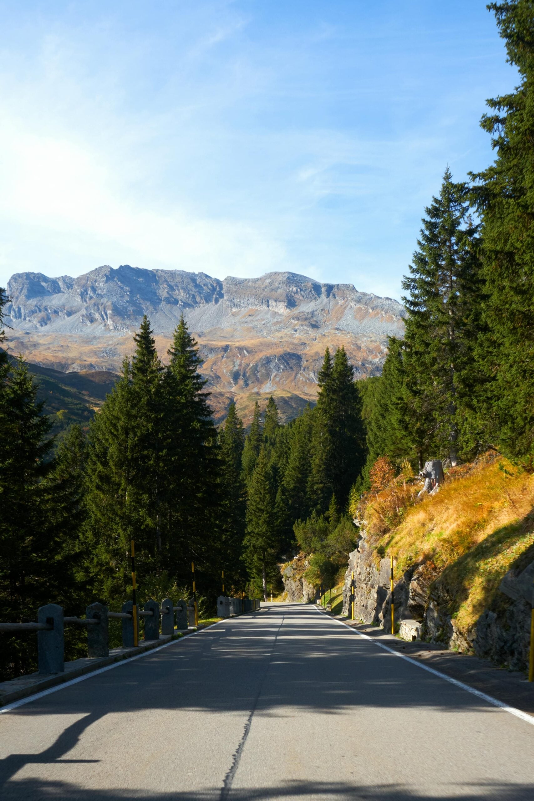 A paved road lined with evergreen trees leads toward distant mountains under a clear blue sky, with sunlight casting shadows on the road and hillsides.
