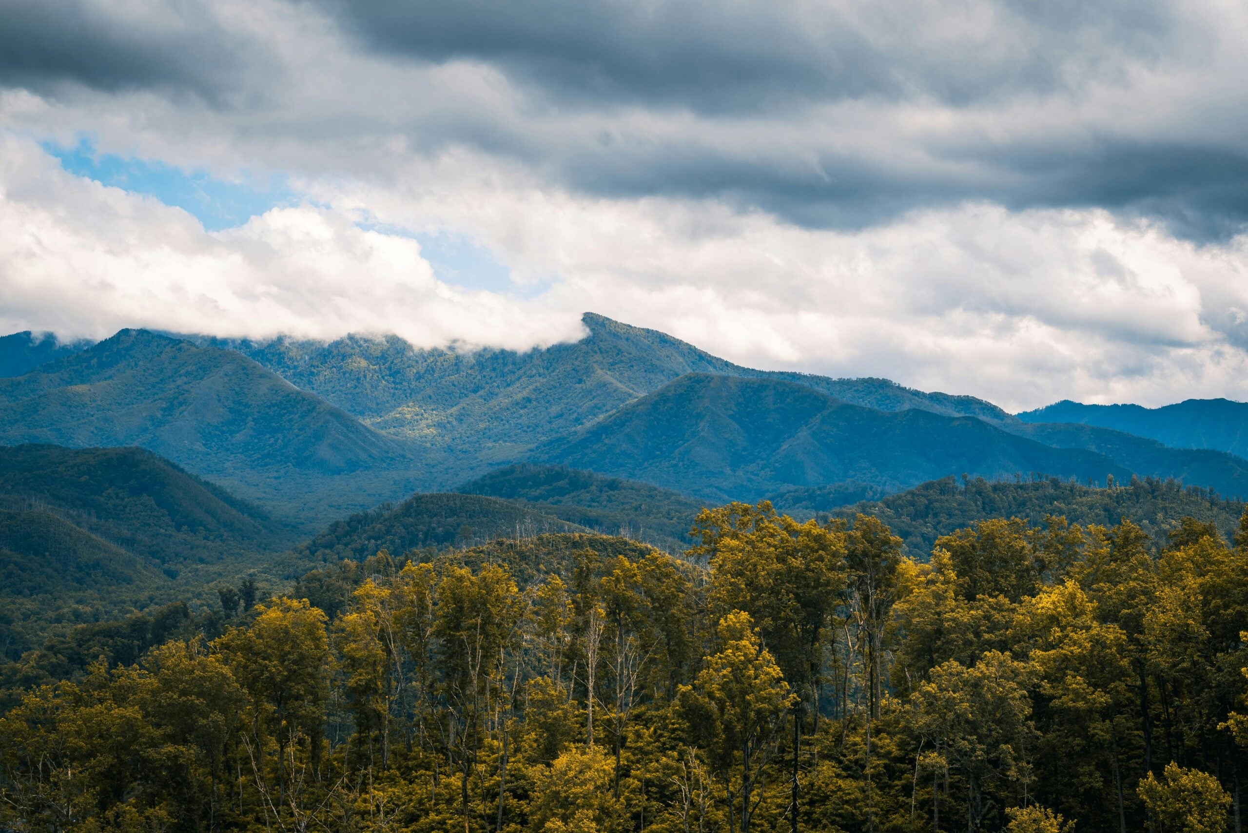 Layered blue mountains under a dramatic cloudy sky with sunlight filtering through. Dense green and yellow trees fill the foreground, and mist clings to the mountain peaks in the distance.