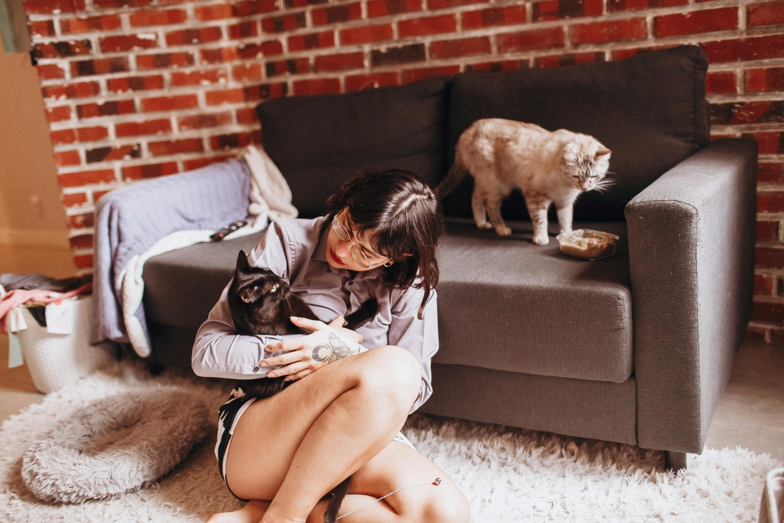 A woman sits on the floor holding a black cat in her lap, while a gray cat stands on a gray sofa behind her. The setting is a cozy room with a brick wall and a pet bed nearby.