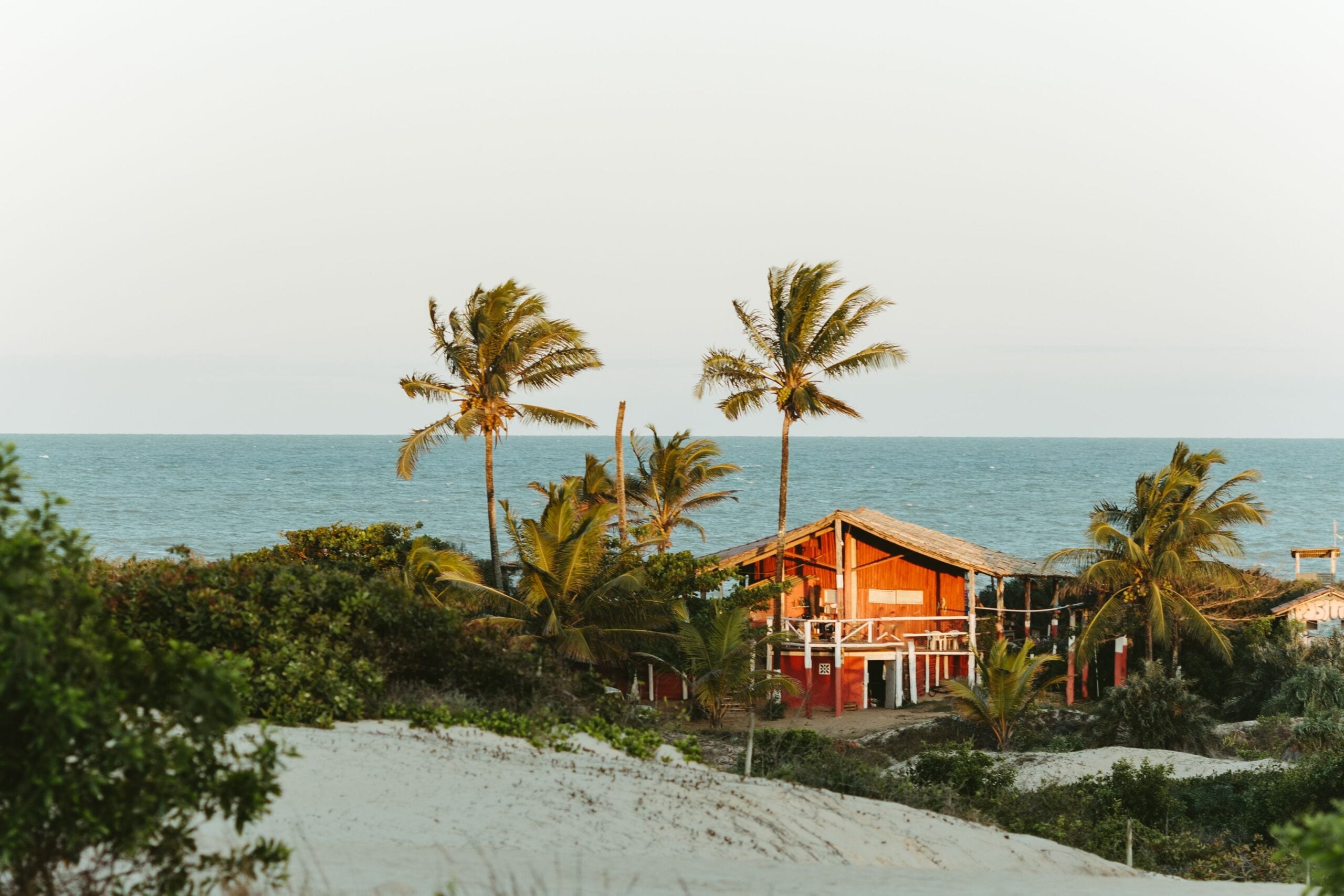 A rustic wooden house surrounded by palm trees sits near the beach, with sand dunes in the foreground and the ocean in the background under a clear sky.
