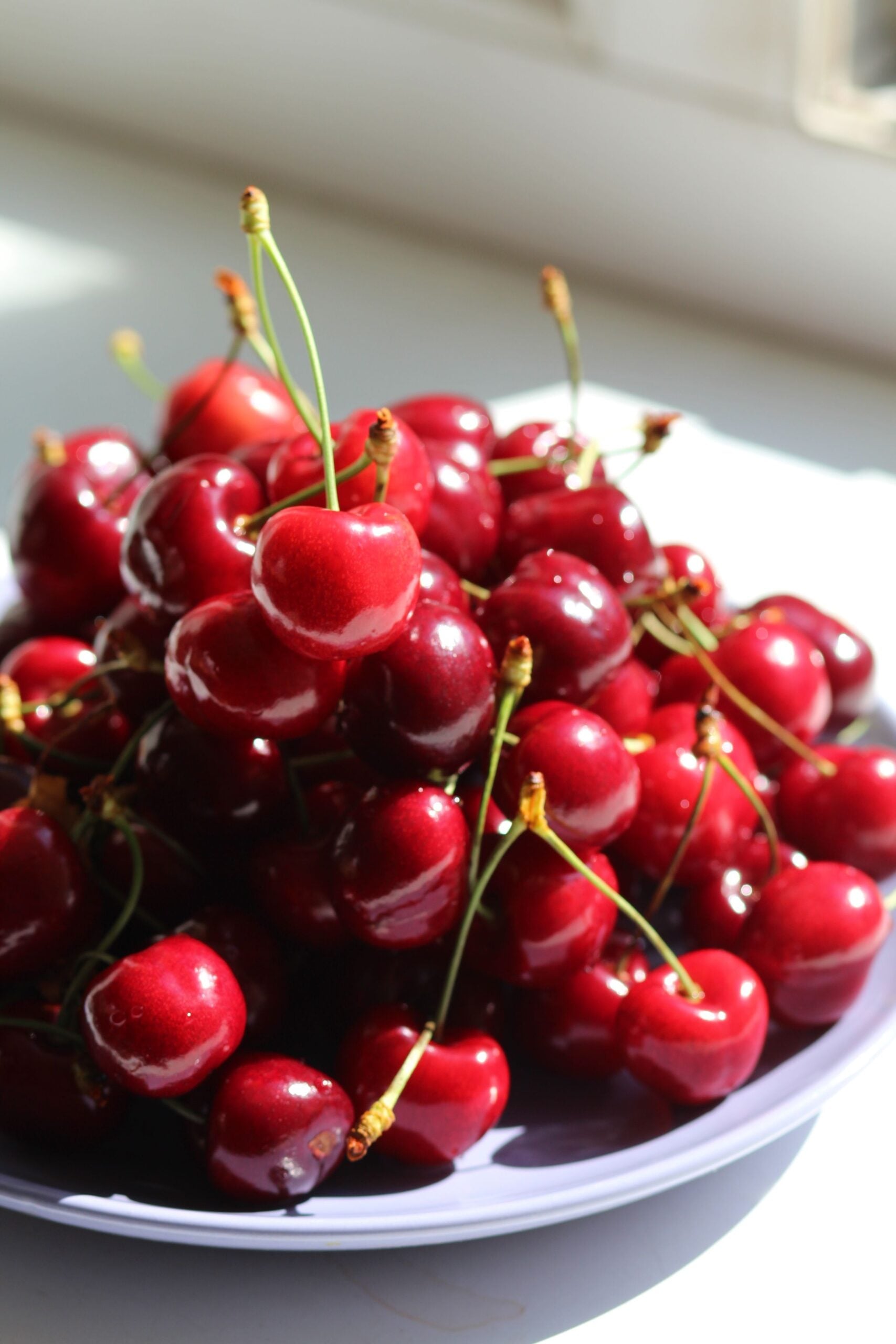 A pile of fresh, shiny red cherries with green stems on a light purple plate, placed on a white surface in natural sunlight.