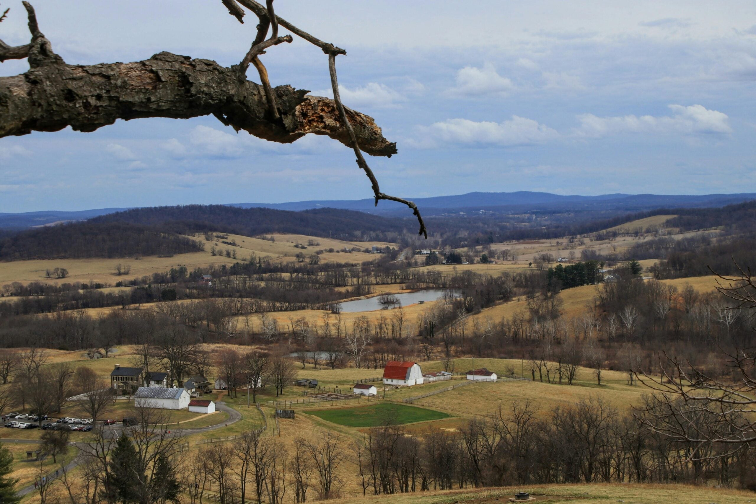 A scenic view of a rural landscape with rolling hills, scattered trees, a pond, and several farm buildings with red and white roofs. A large tree branch stretches across the upper foreground. The sky is mostly cloudy.