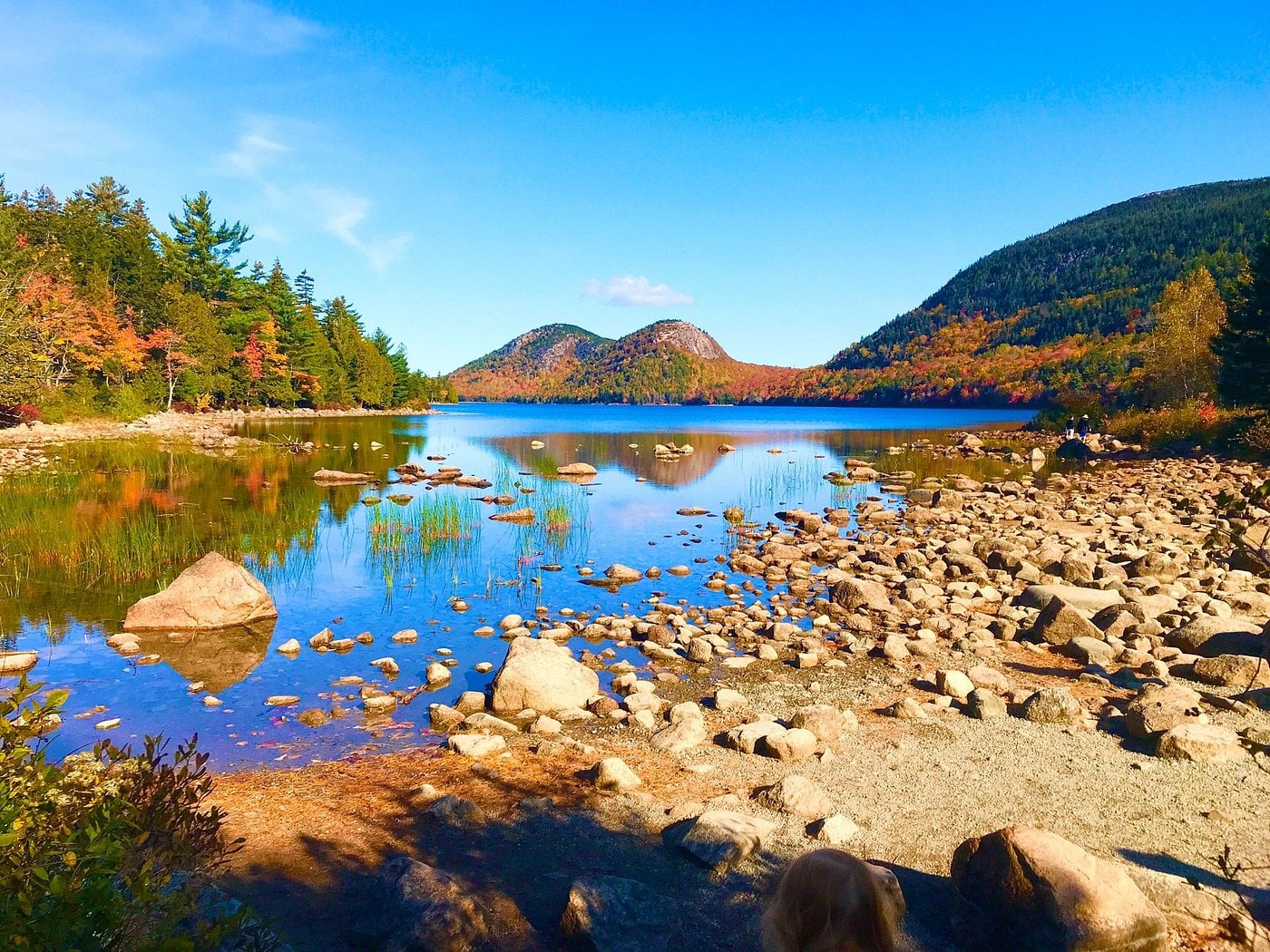 A rocky lakeshore with clear blue water reflecting autumn trees and distant hills under a bright blue sky, reminiscent of the scenery found in unique American towns. Green reeds line the shore, and colorful fall foliage blankets the hillsides.