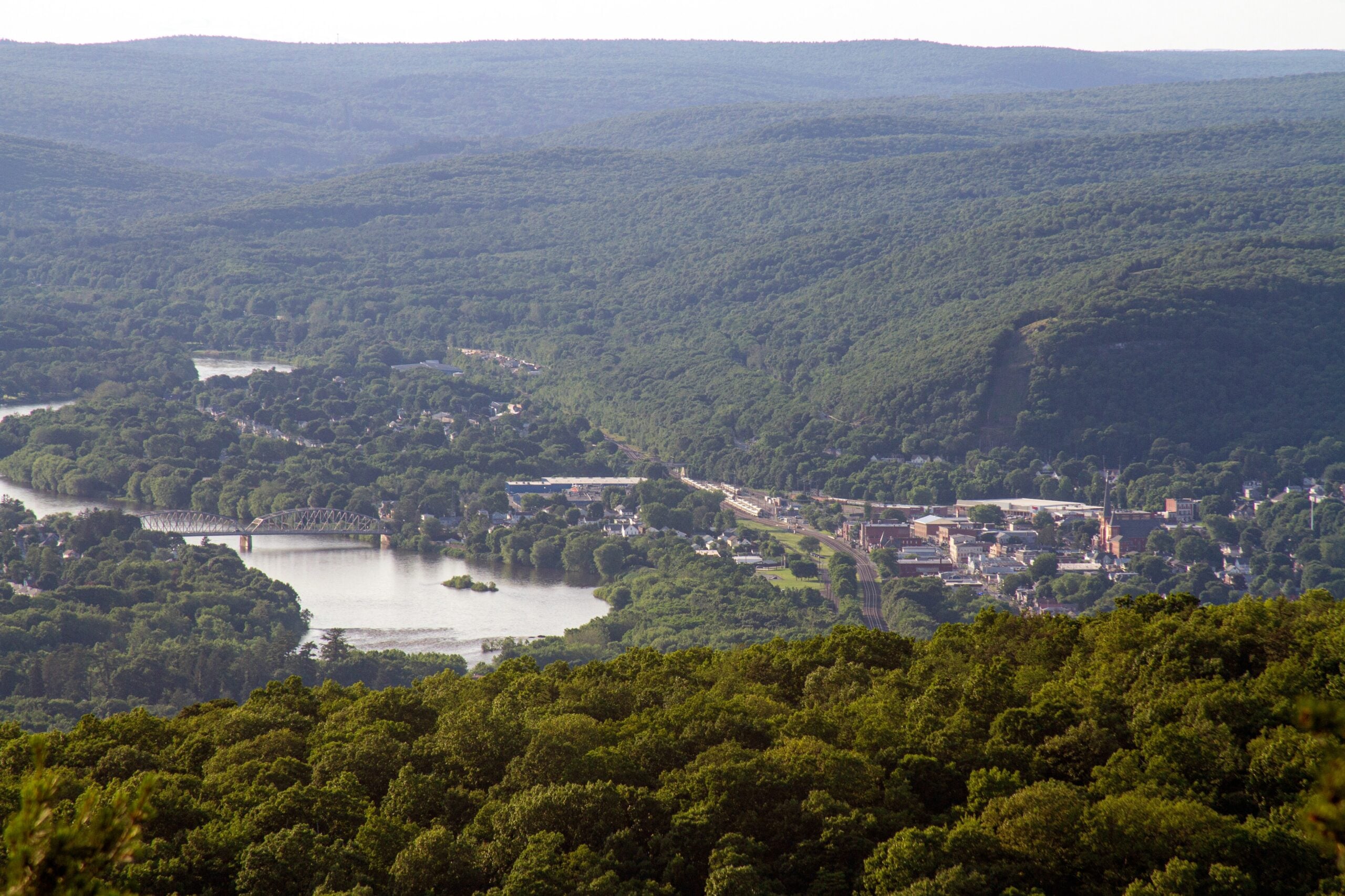 A scenic view of a small town nestled in a lush, green valley surrounded by dense forest and hills, with a winding river and bridge running through the landscape.
