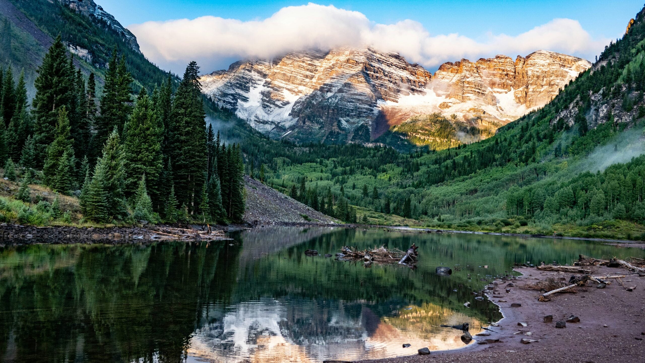 Snow-capped mountains partially covered by clouds, lush green forest, and a calm lake reflecting the scenery, with driftwood and rocks along the shore.