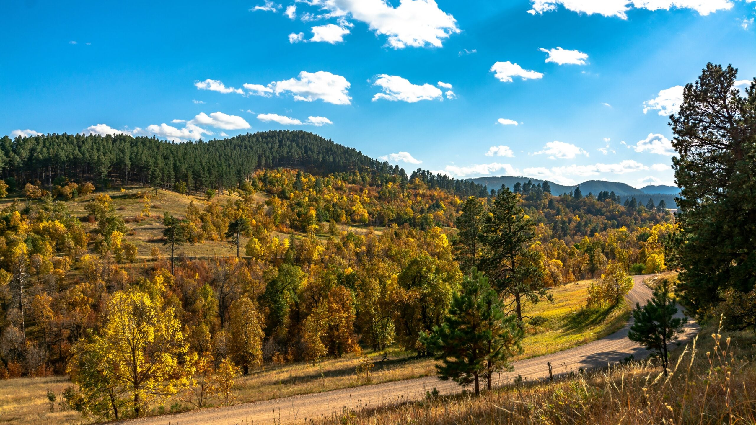 A winding dirt road curves through a sunlit landscape of rolling hills covered with autumn-colored trees under a bright blue sky with scattered clouds. Pine trees and distant mountains are visible in the background.