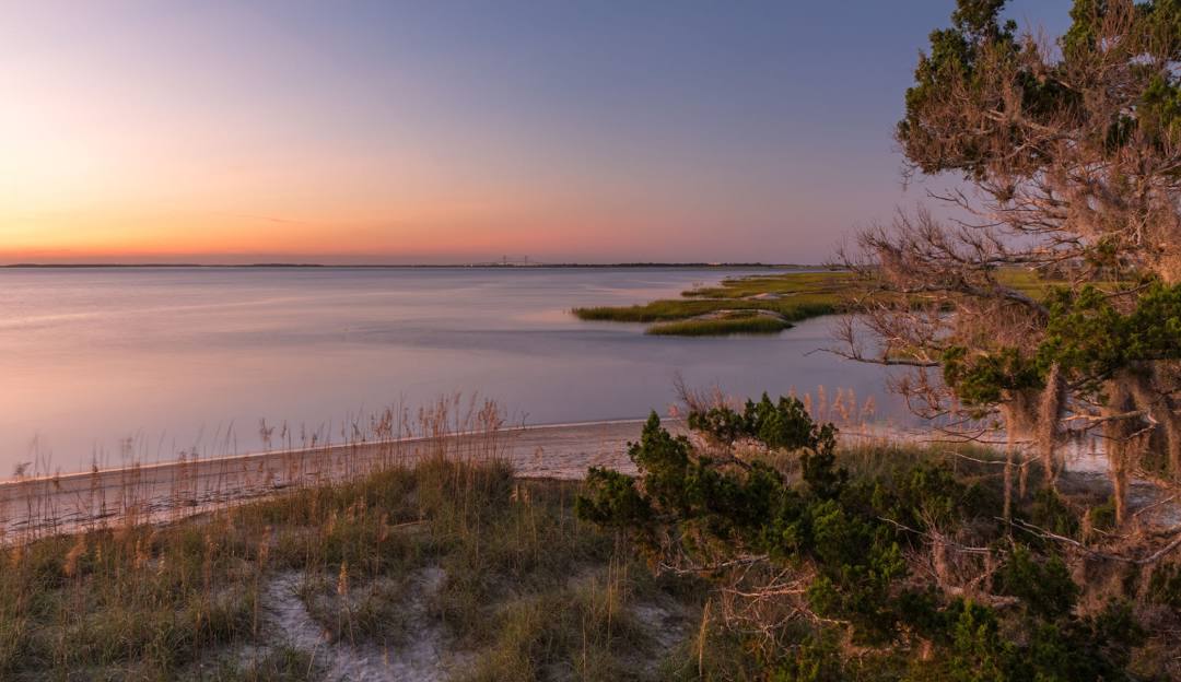 Calm coastal scene at sunset with soft pastel sky, sandy beach, tall grasses, and distant water. A tree with green foliage is in the foreground on the right, with gentle waves visible along the shoreline.