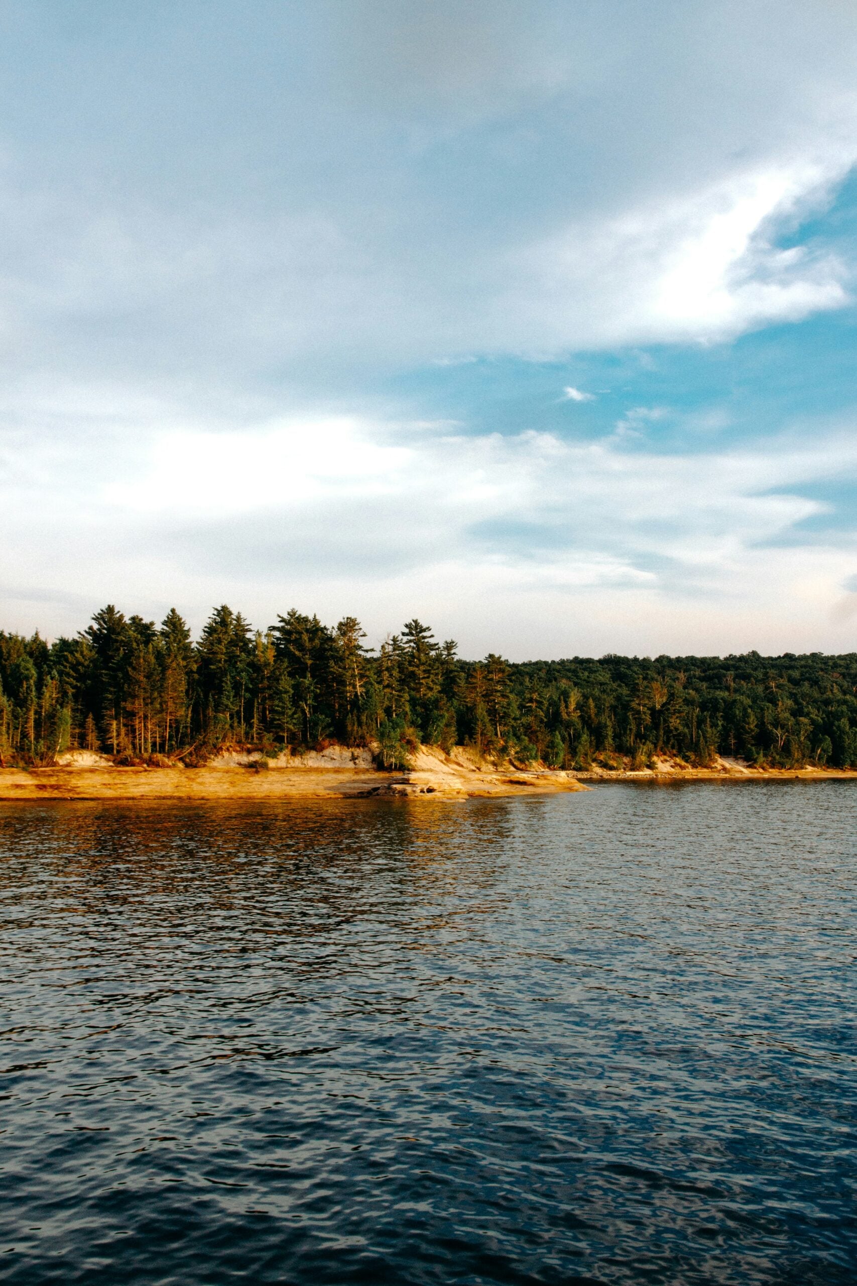 A calm lake with gentle ripples in the water, bordered by a forest of tall evergreen trees under a partly cloudy blue sky.