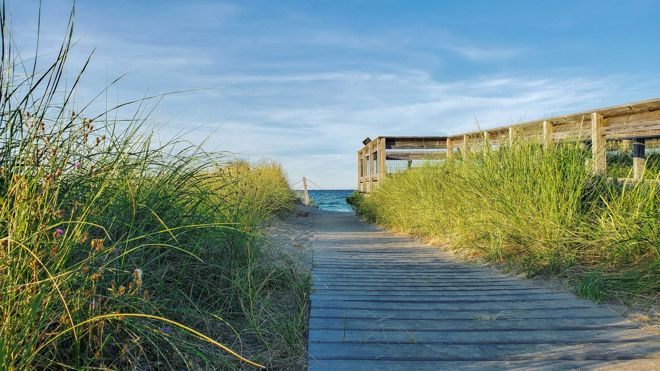 A wooden boardwalk winds through tall green grass toward a beach, with a view of the blue ocean and sky in the background under soft sunlight. A rustic wooden fence runs alongside the path.