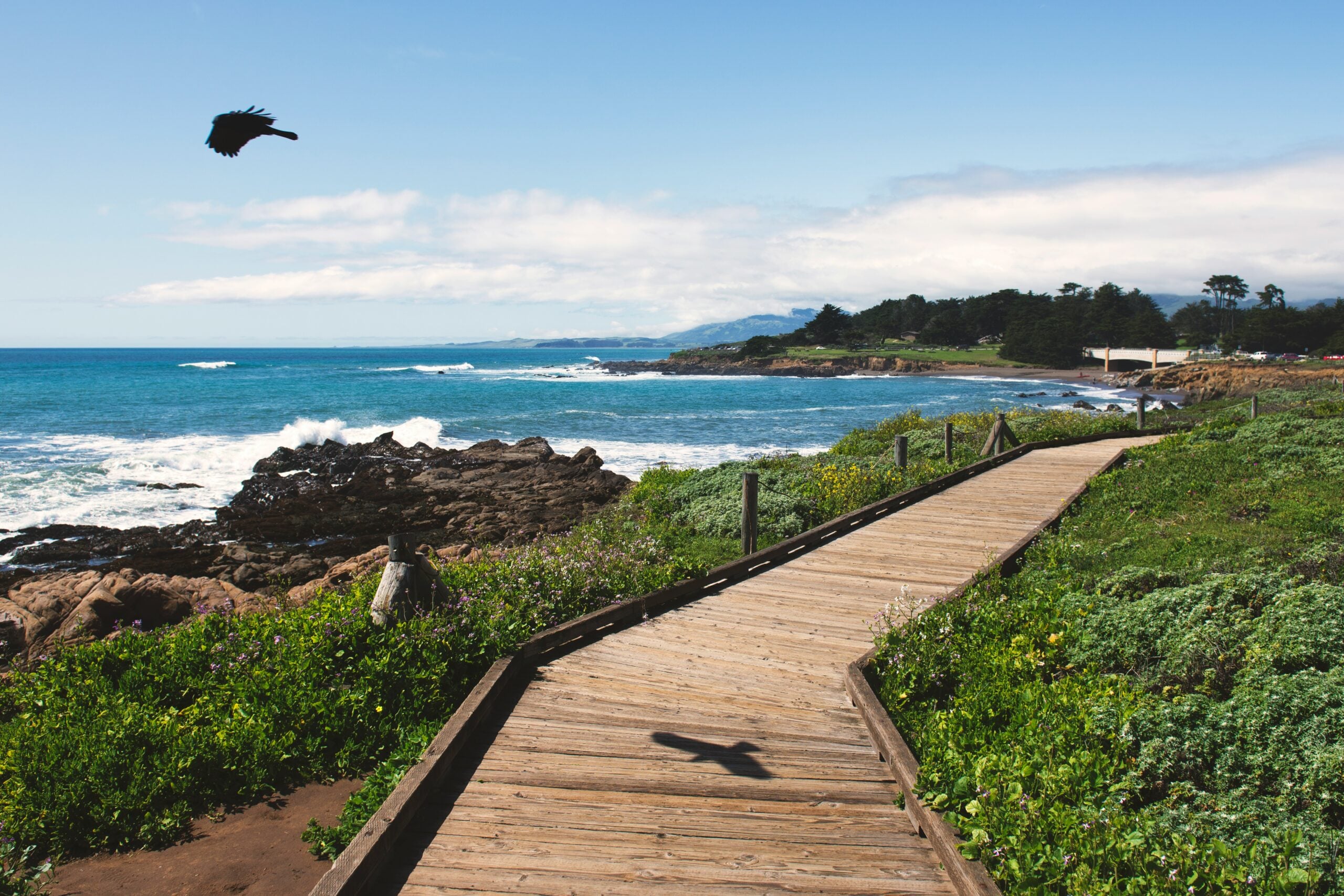 A wooden boardwalk curves along a rocky coastline with green plants, blue ocean waves, and a bird flying overhead under a partly cloudy sky.
