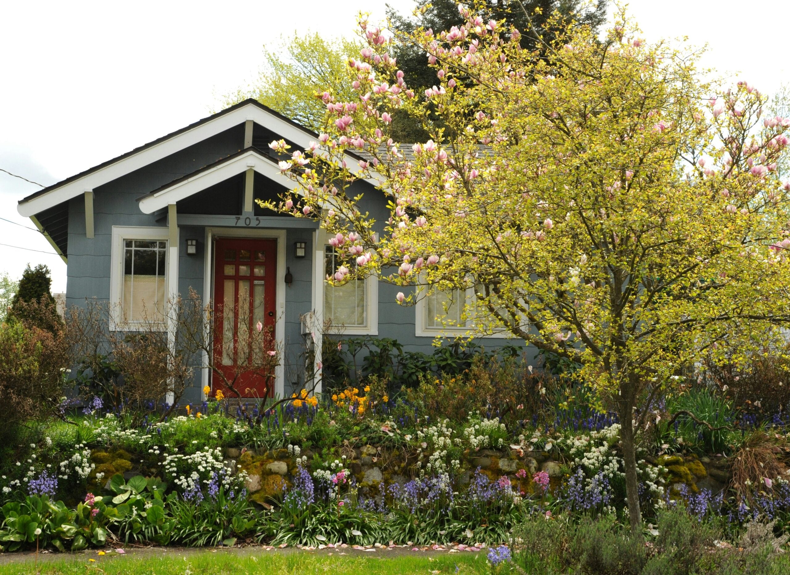A charming blue house with a red door is surrounded by a lush garden filled with blooming flowers and a tree with yellow-green leaves and pink blossoms.