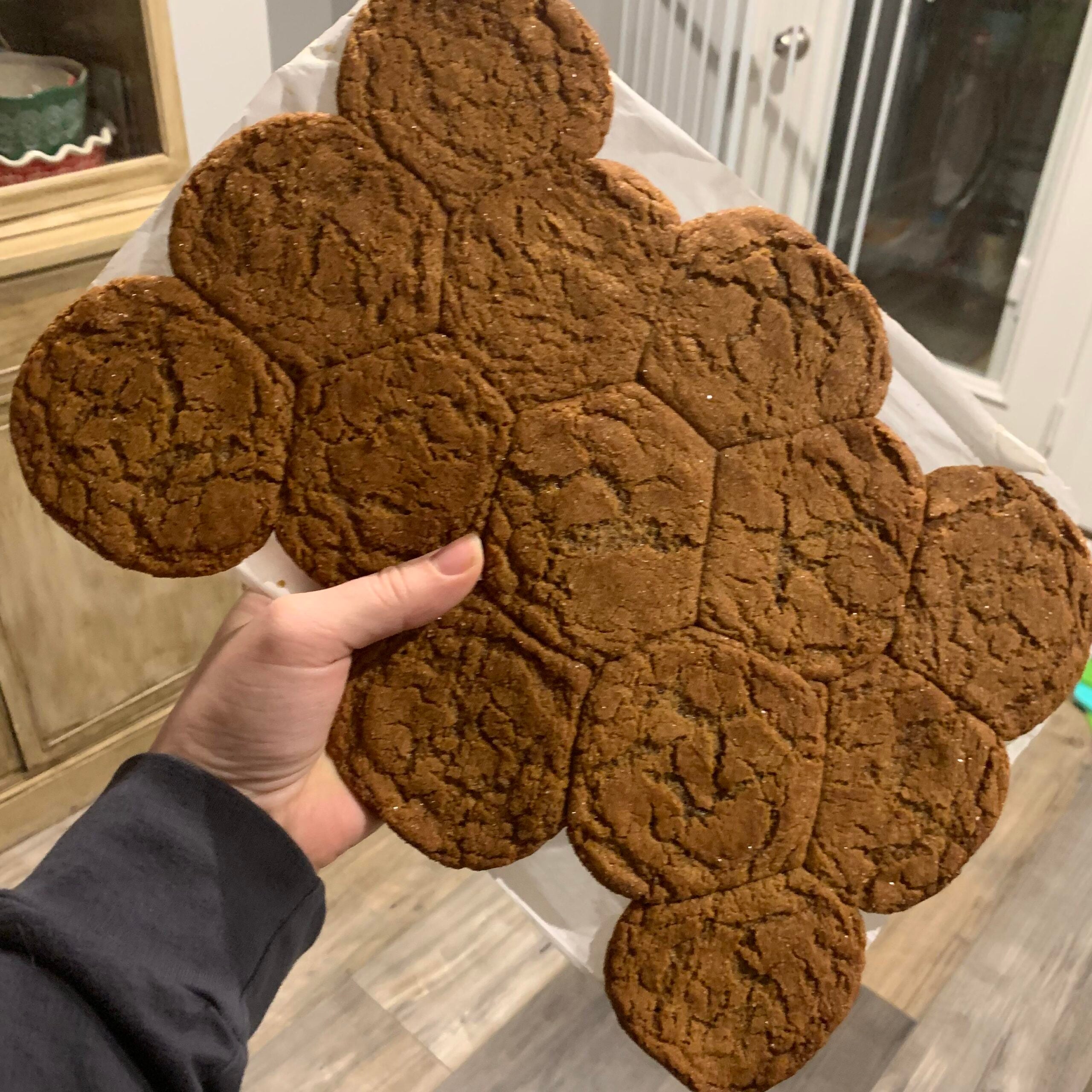 A hand holds a large batch of cookies baked together in a cluster, unseparated, with a cracked surface—an unmistakable outcome of hilarious cooking disasters. The background shows a kitchen with wooden floors and a cabinet.