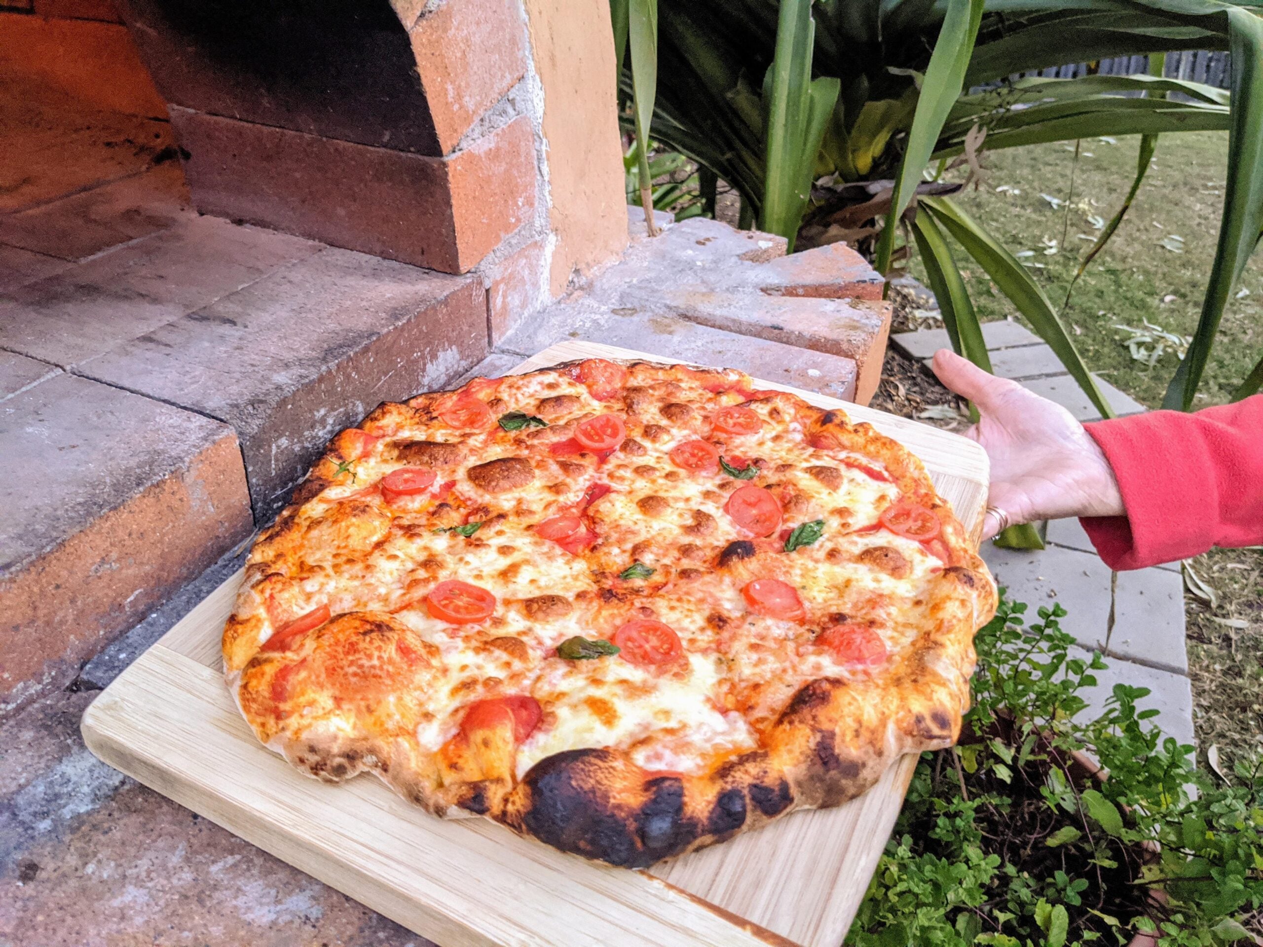 A hand holds a wooden board with a freshly baked pizza topped with cheese, pepperoni, and herbs next to an outdoor brick oven and some plants.