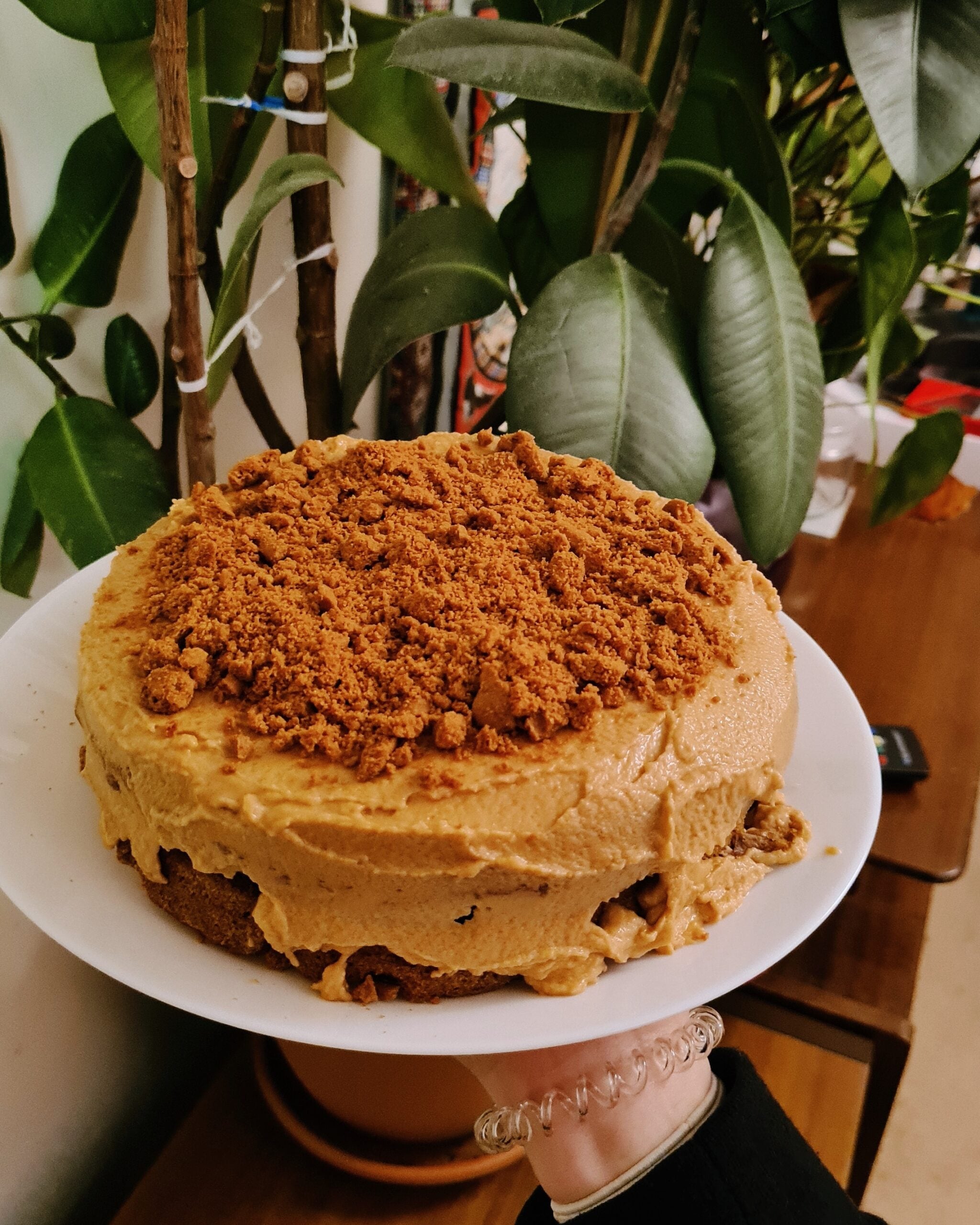 A round cake with light brown frosting and crumbled topping, reminiscent of classic homemade desserts, is held on a white plate in front of green leafy plants indoors.