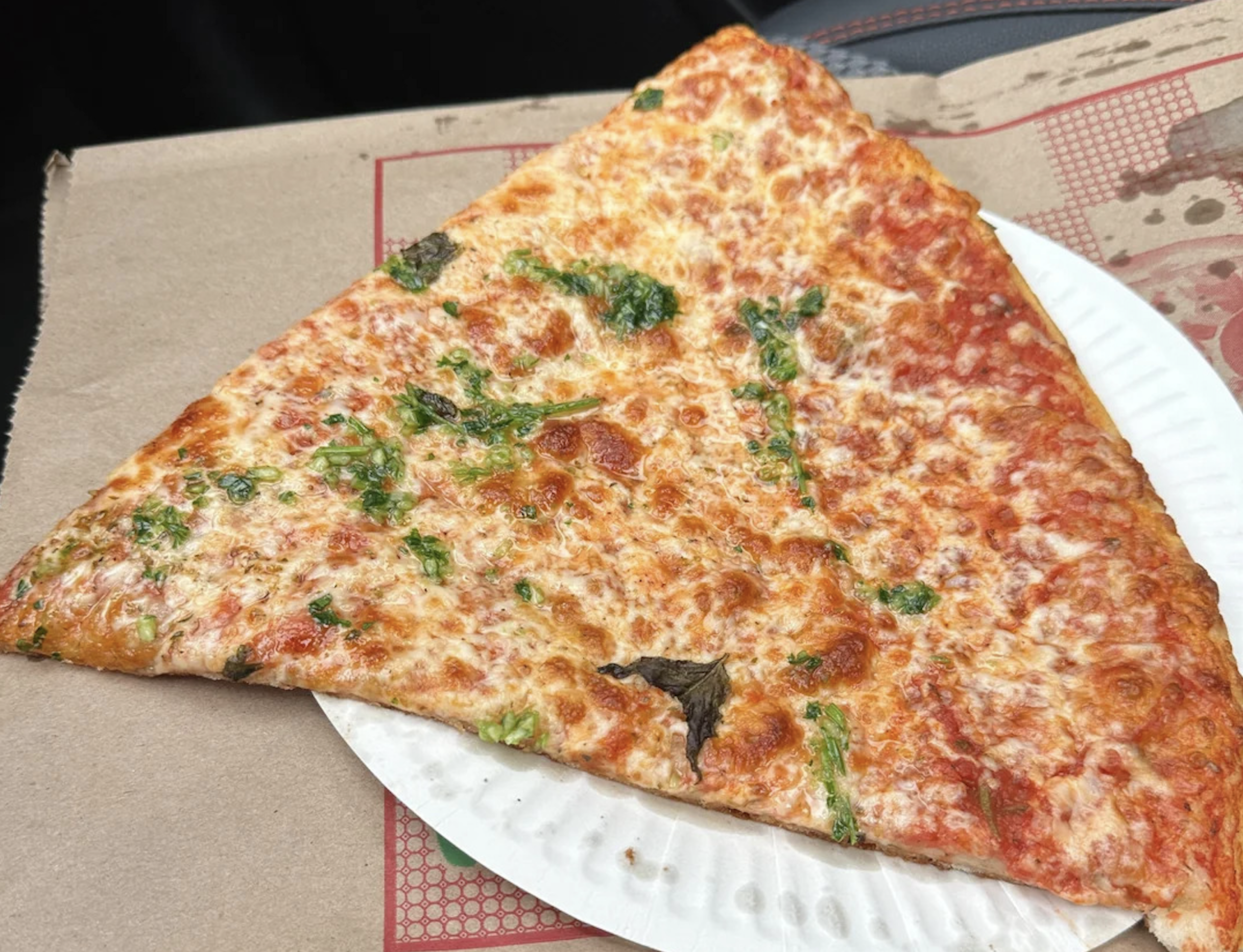 A large, thin slice of cheese pizza with tomato sauce and basil sits on a white paper plate atop a cardboard pizza box, capturing the essence of the best pizza photos.