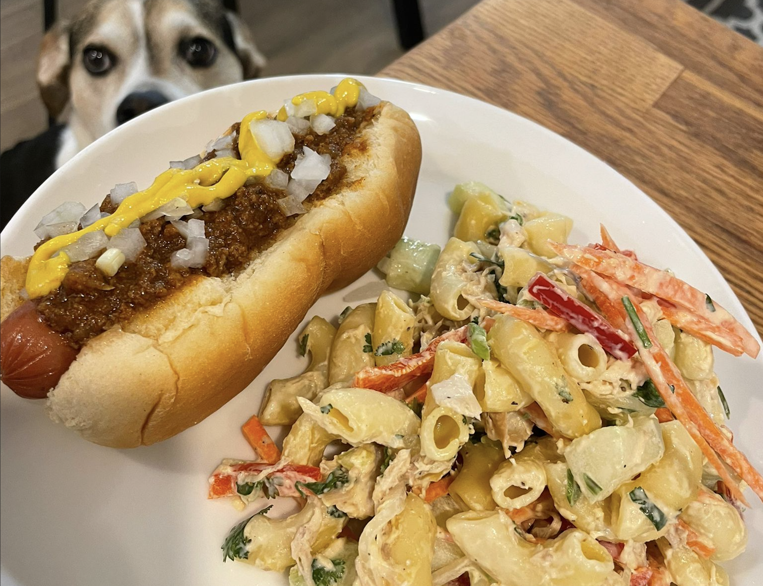 A plate on a wooden table holds a chili dog with mustard and onions next to a creamy pasta salad. In the blurred background, a dog stares longingly at the food.