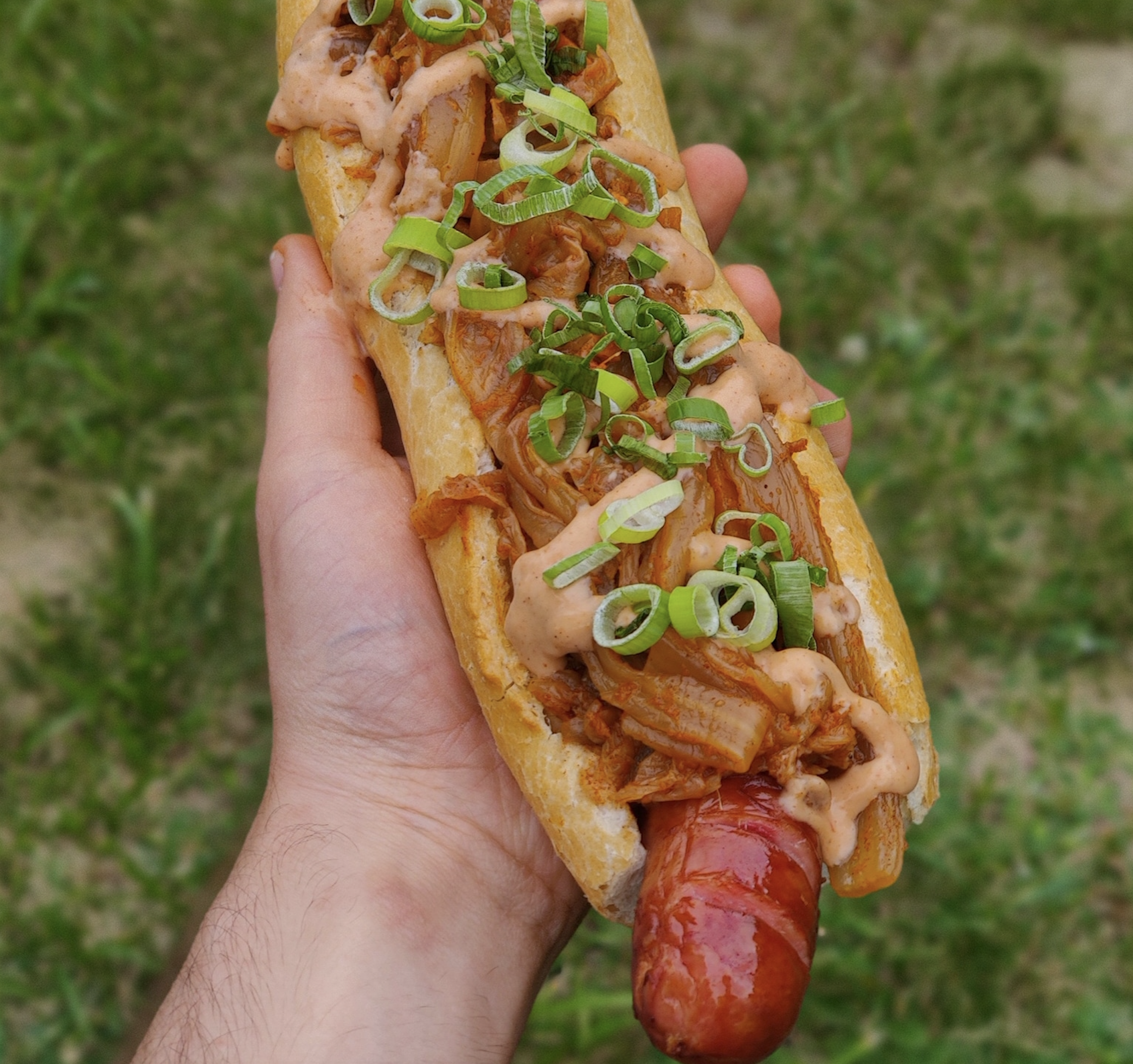 A hand holds a hot dog topped with pulled meat, creamy sauce, and chopped green onions, with a grassy background visible.
