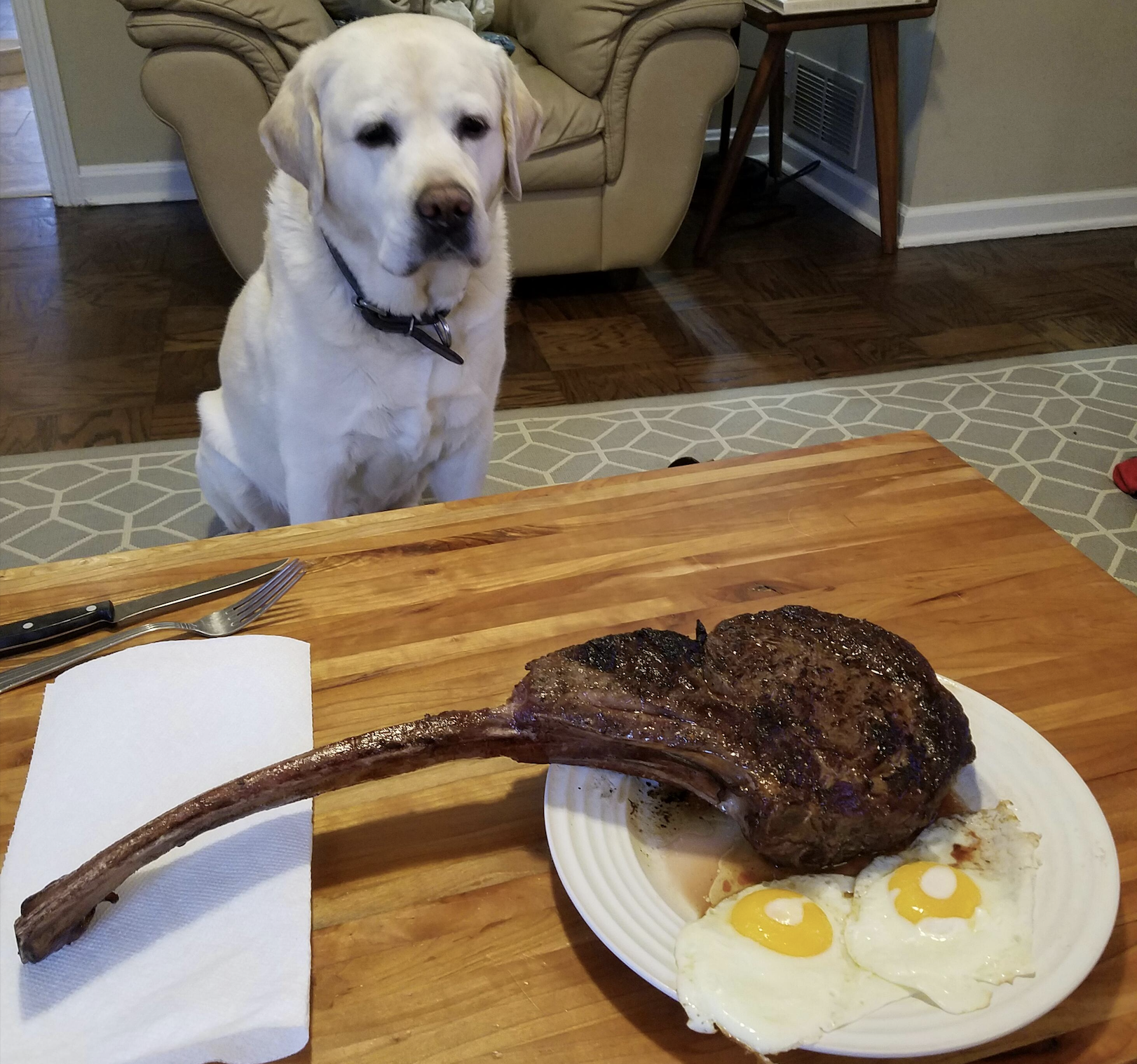 A yellow labrador stares longingly at a plate with a large tomahawk steak and two sunny-side-up eggs on a wooden table.