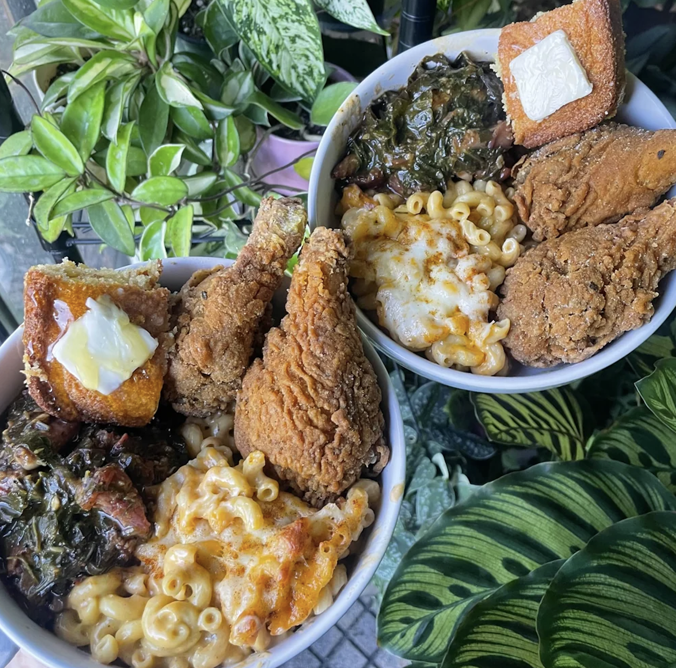 Two bowls of soul food featuring fried chicken, macaroni and cheese, collard greens, and cornbread with butter, set against a backdrop of green leafy plants.