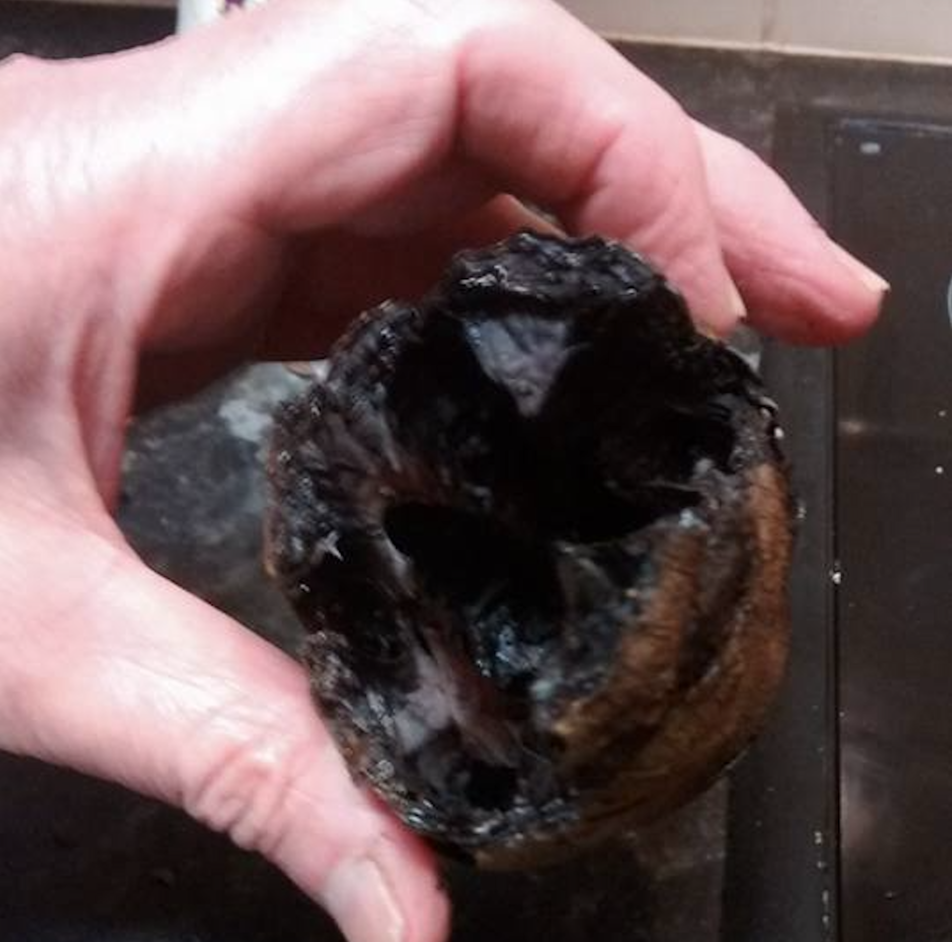 A hand holds a small, dark, and heavily burnt object with a rough texture; it appears charred and hollow inside, resembling the remains of a piece of food or fruit.