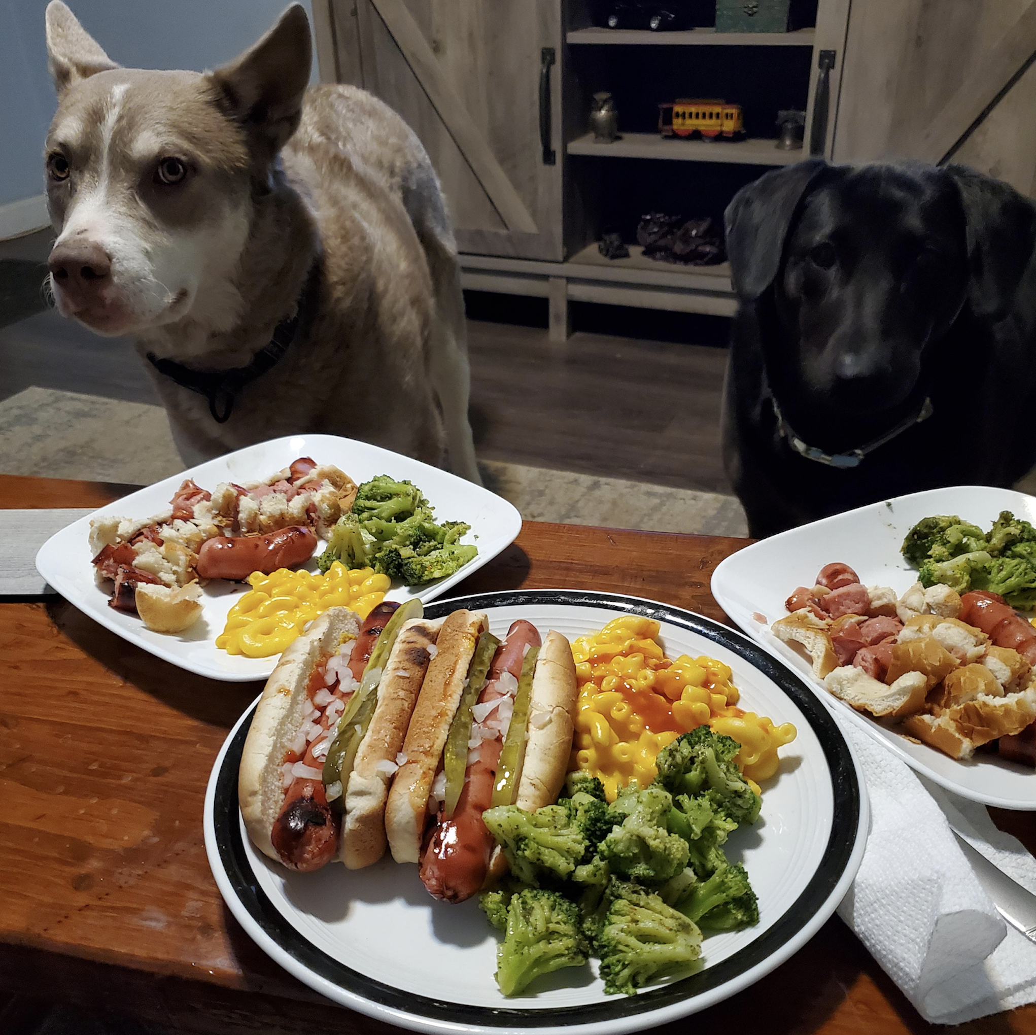 Two dogs sit by a table with plates of hot dogs, macaroni and cheese, and broccoli. A TV stand and shelves are in the background. The dogs appear interested in the food on the table.