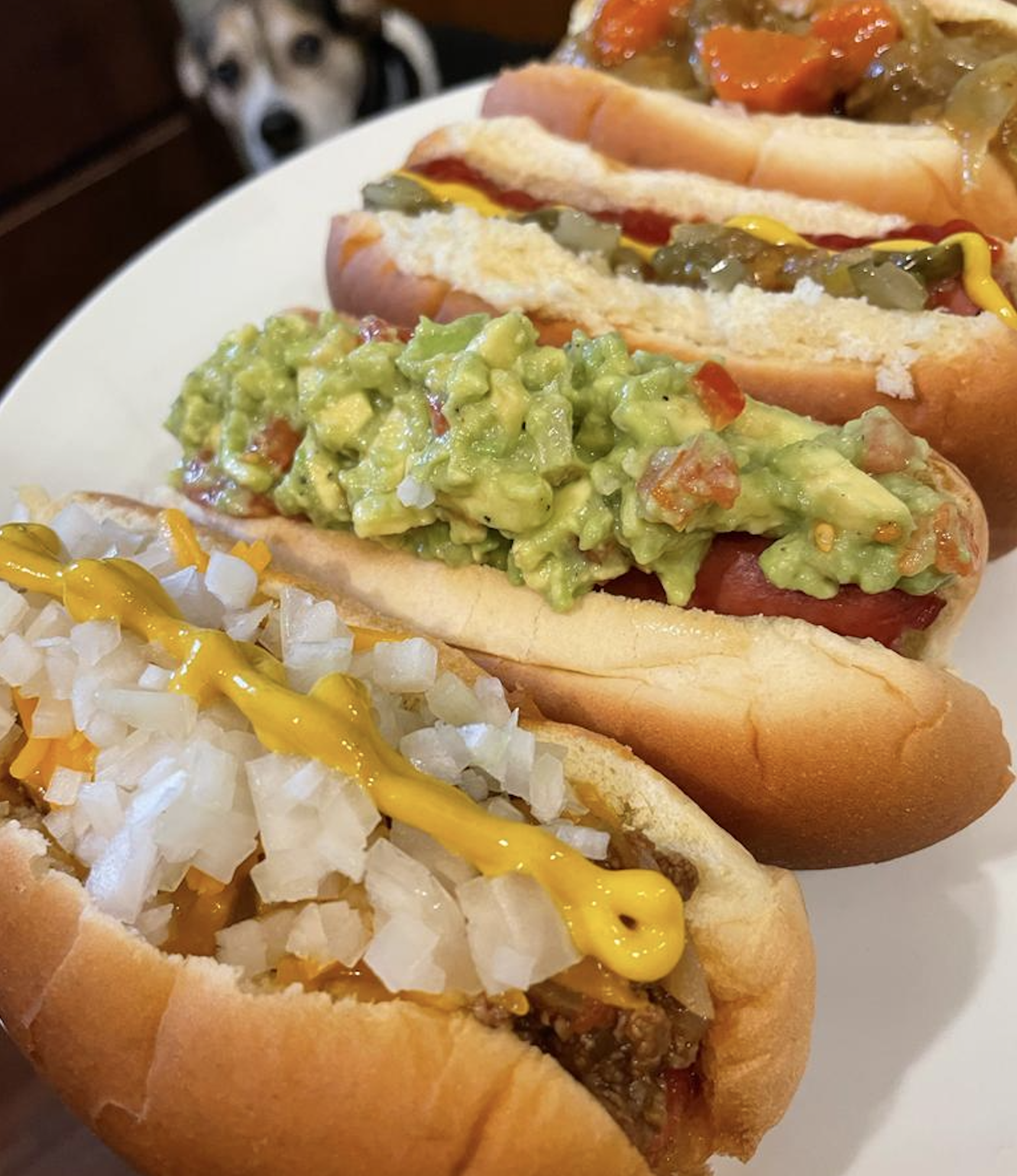 Three hot dogs topped with onions, guacamole, and relish are on a white plate. In the background, a dog looks up at the food.
