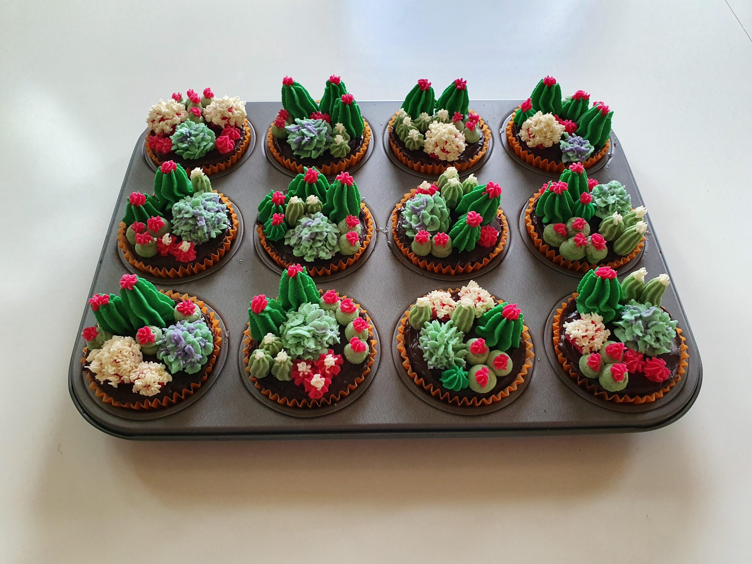 A muffin tray holds 12 cupcakes decorated with colorful icing to look like different kinds of cacti and succulents, with pink, red, and white flower details.